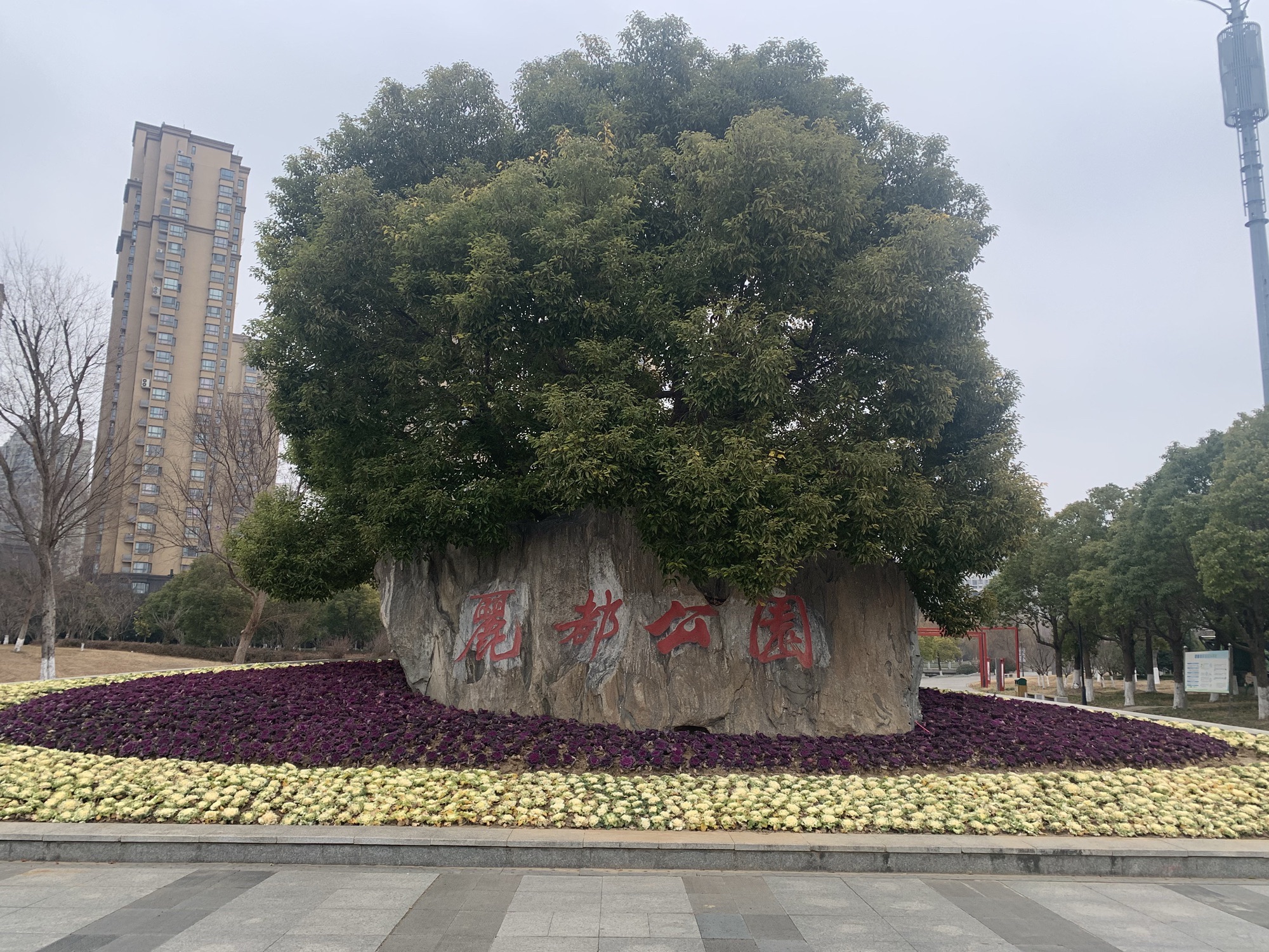 丽都公园