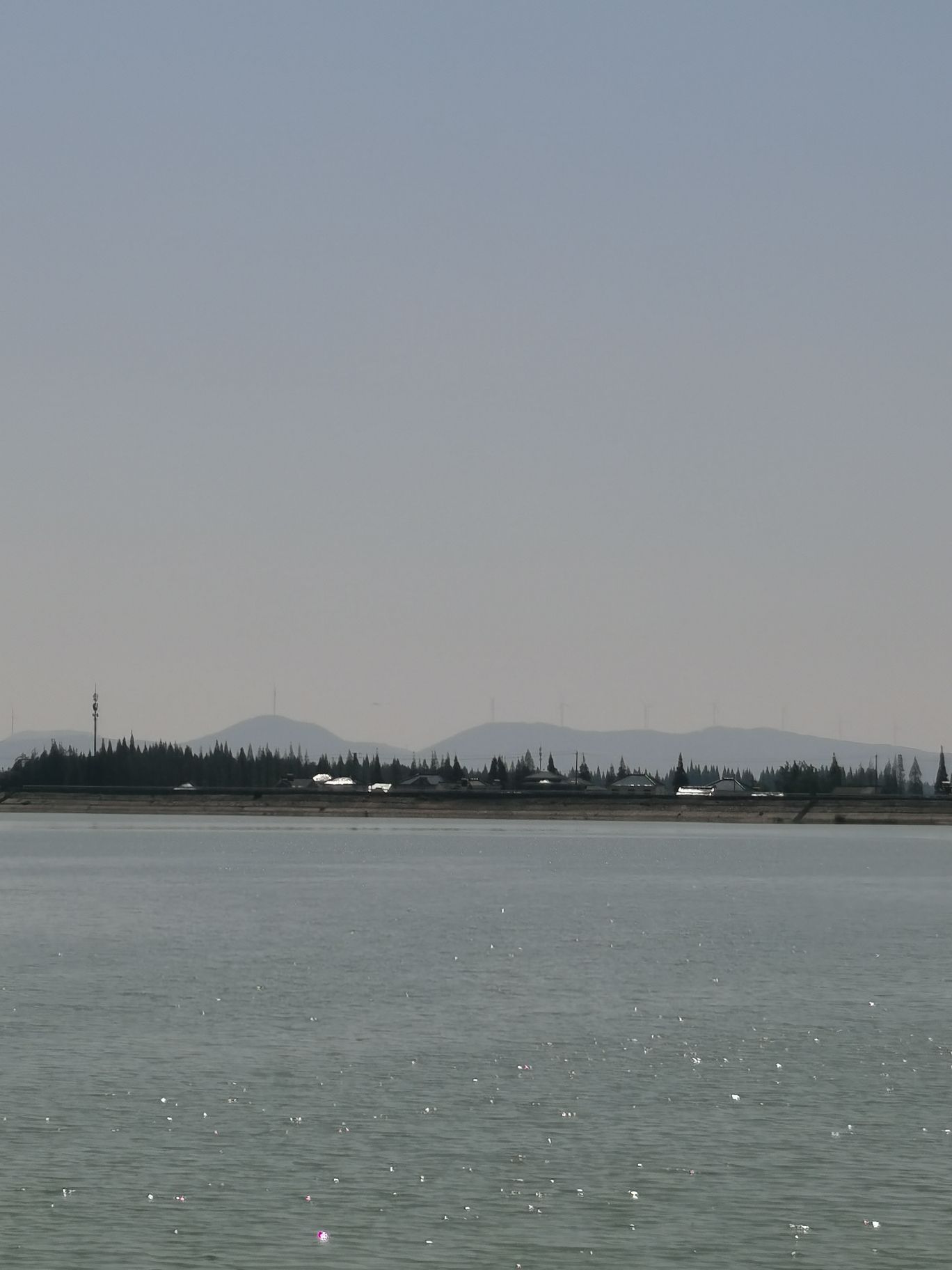 固城湖旅行图片 2