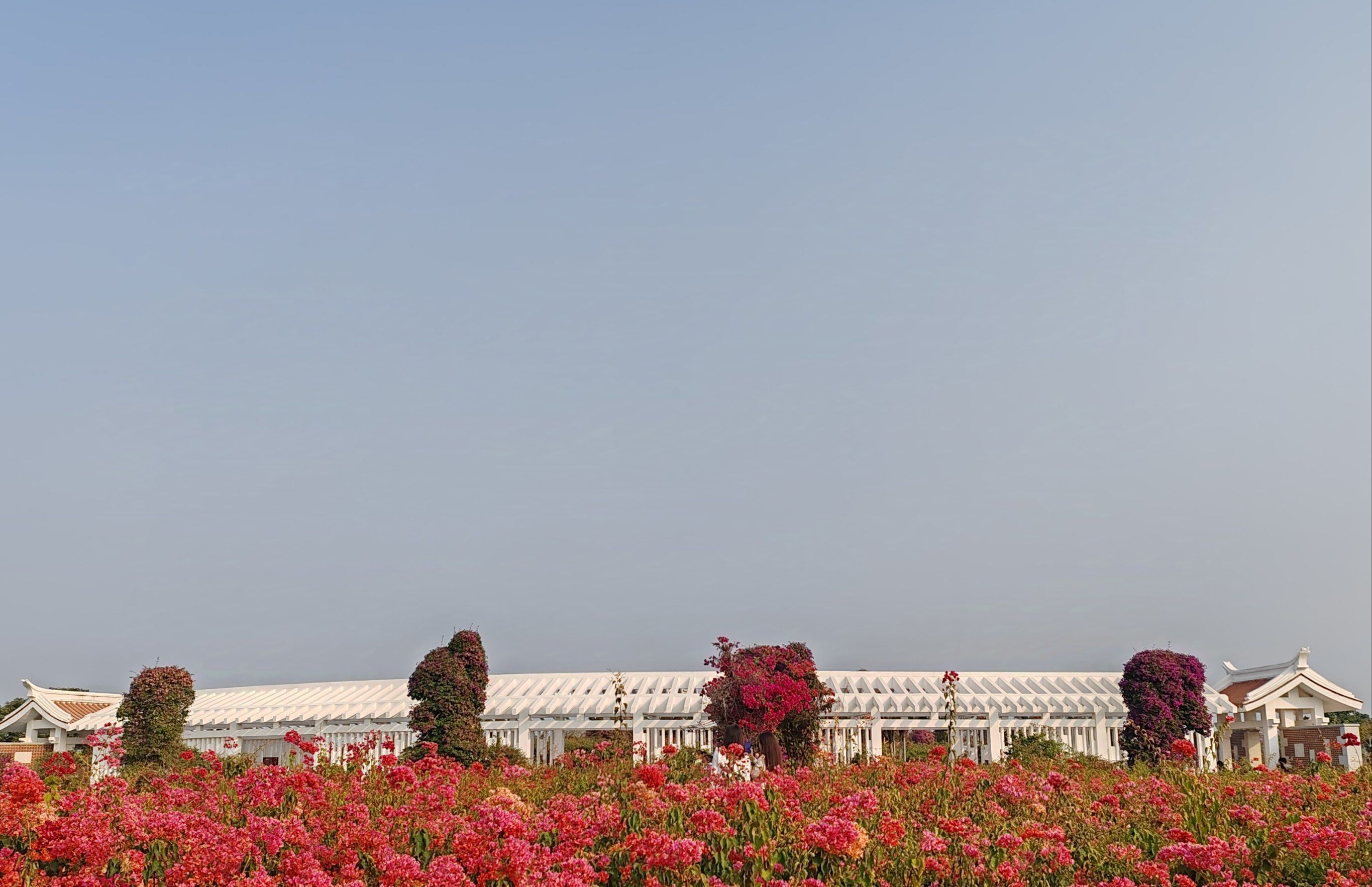 霞阳市民公园旅行图片 3