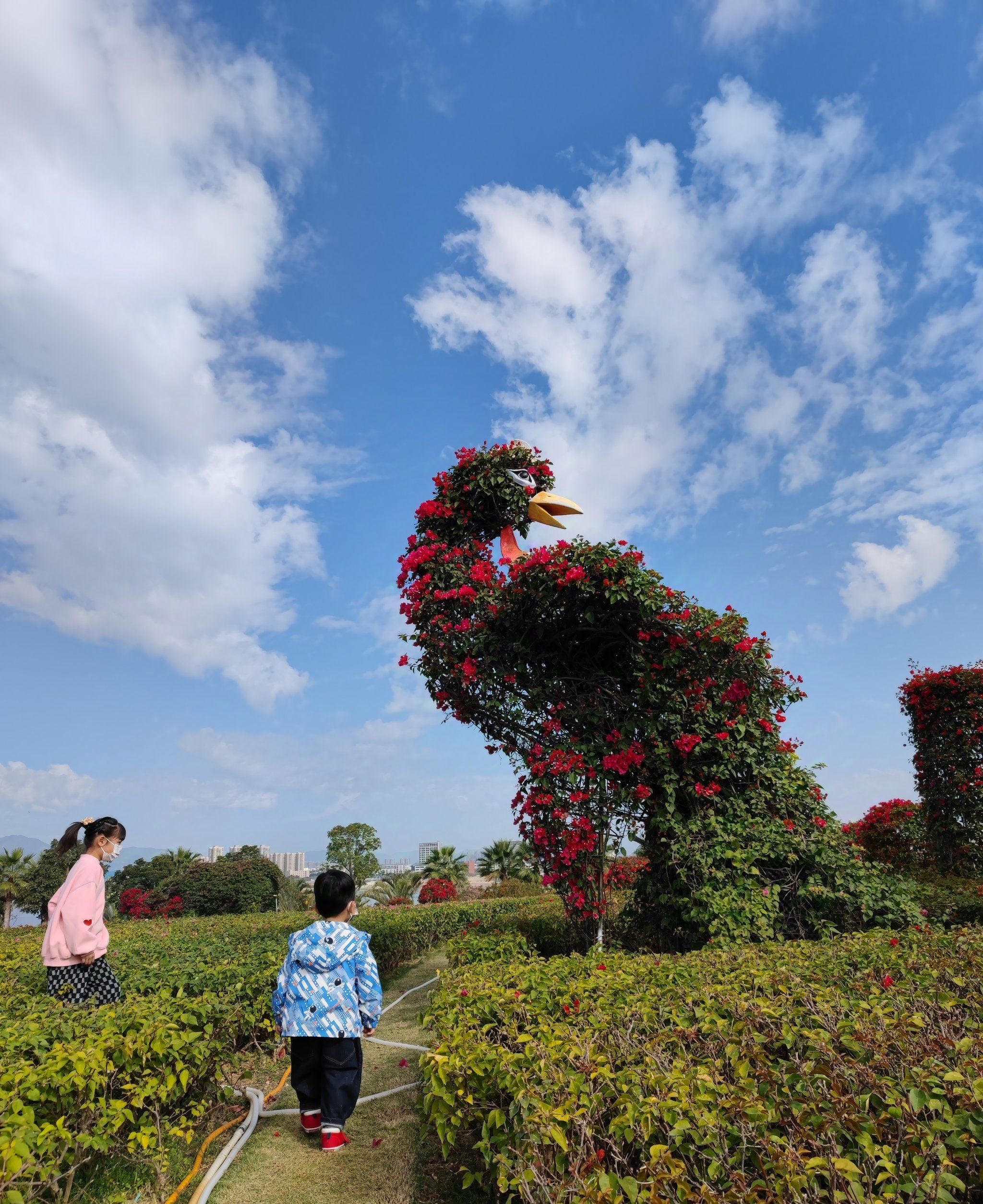 霞阳市民公园旅行图片 2