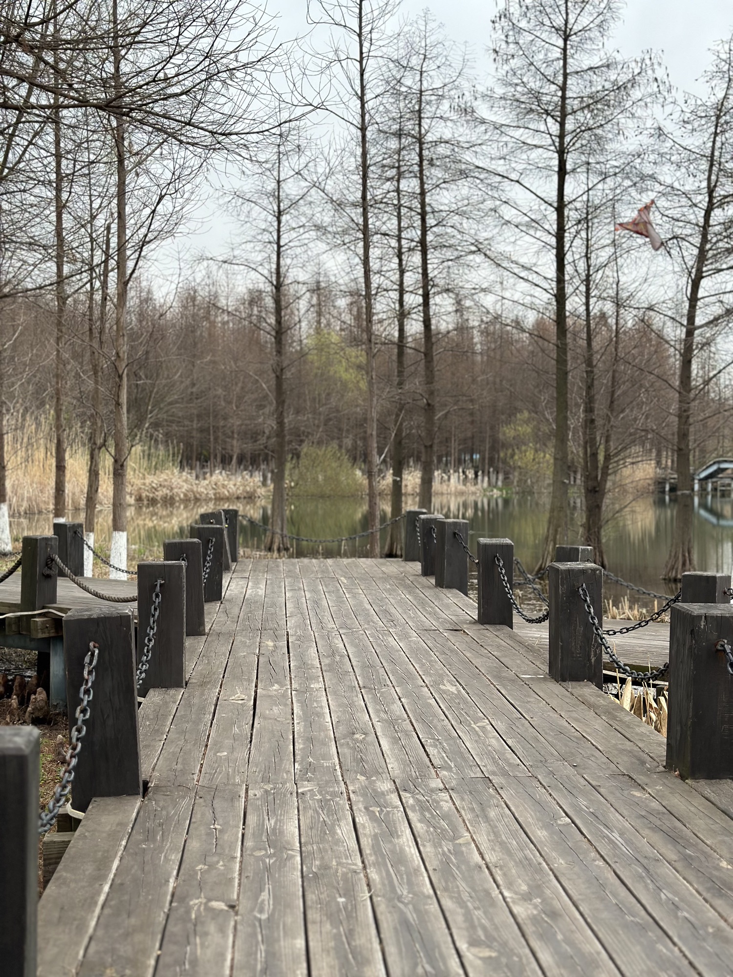 滨江公园旅行图片 3