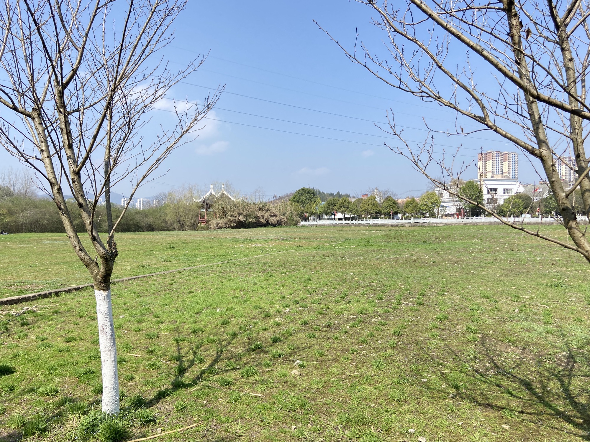 梯青塔湿地公园旅行图片 1