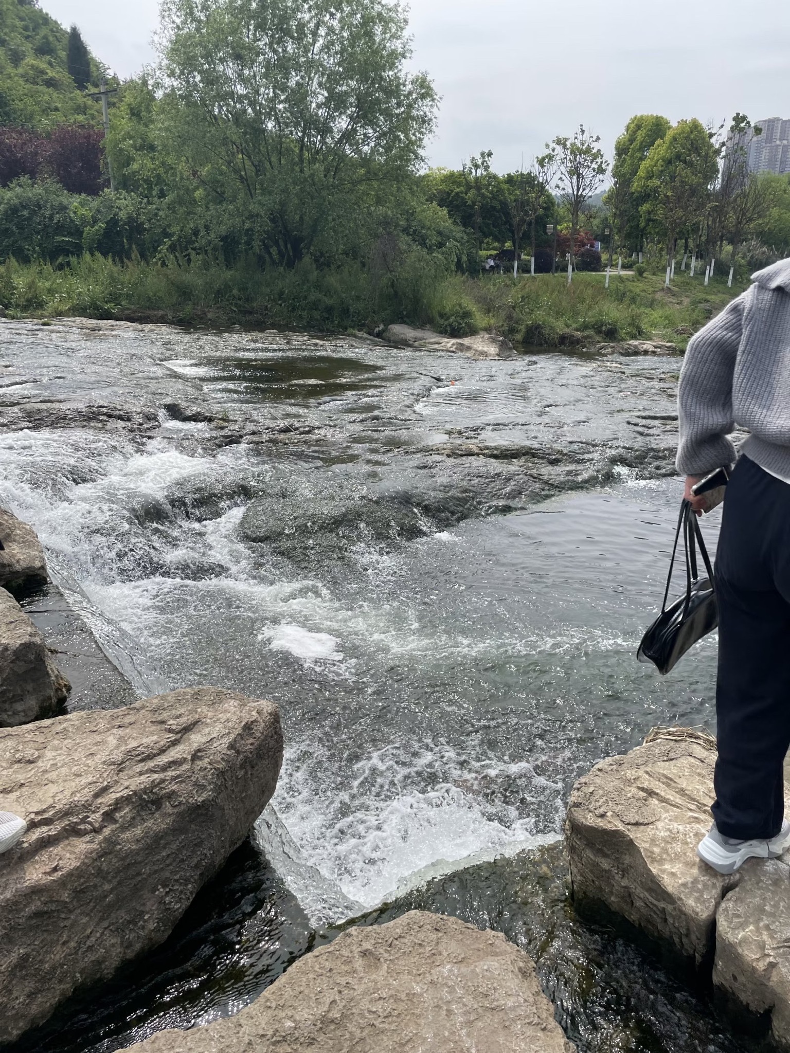 梯青塔湿地公园旅行图片 3