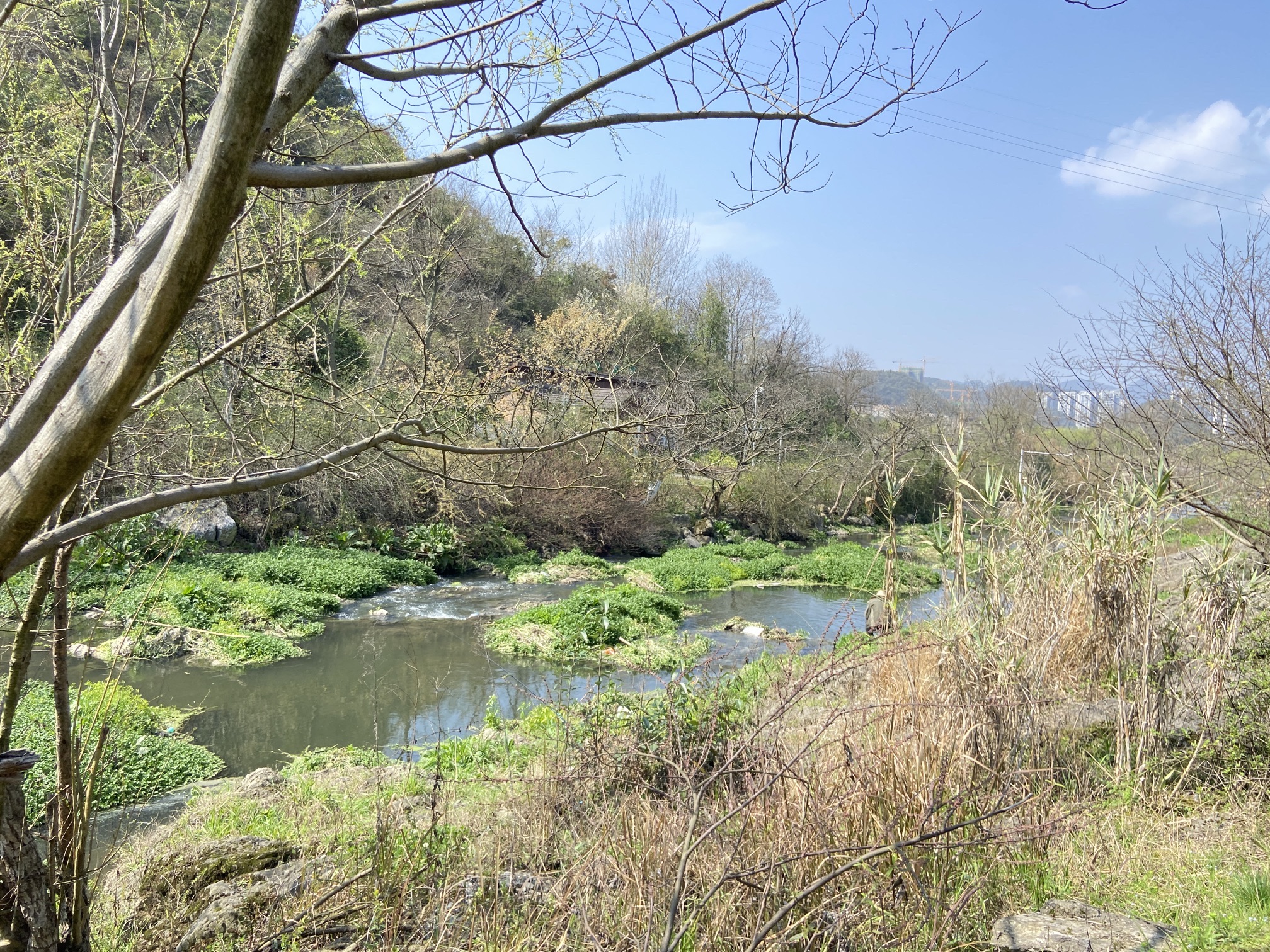 梯青塔湿地公园旅行图片 2