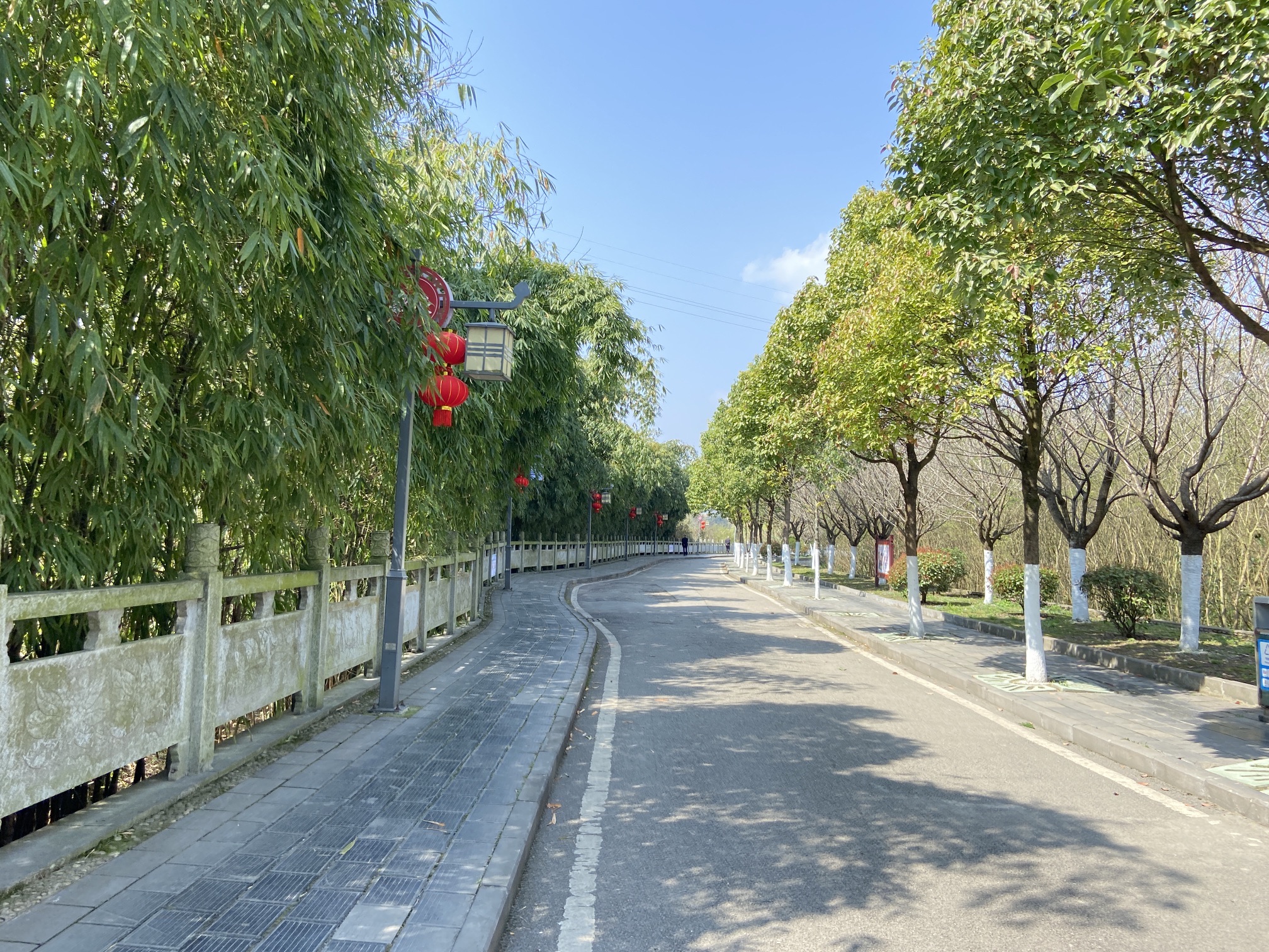 梯青塔湿地公园旅行图片 3