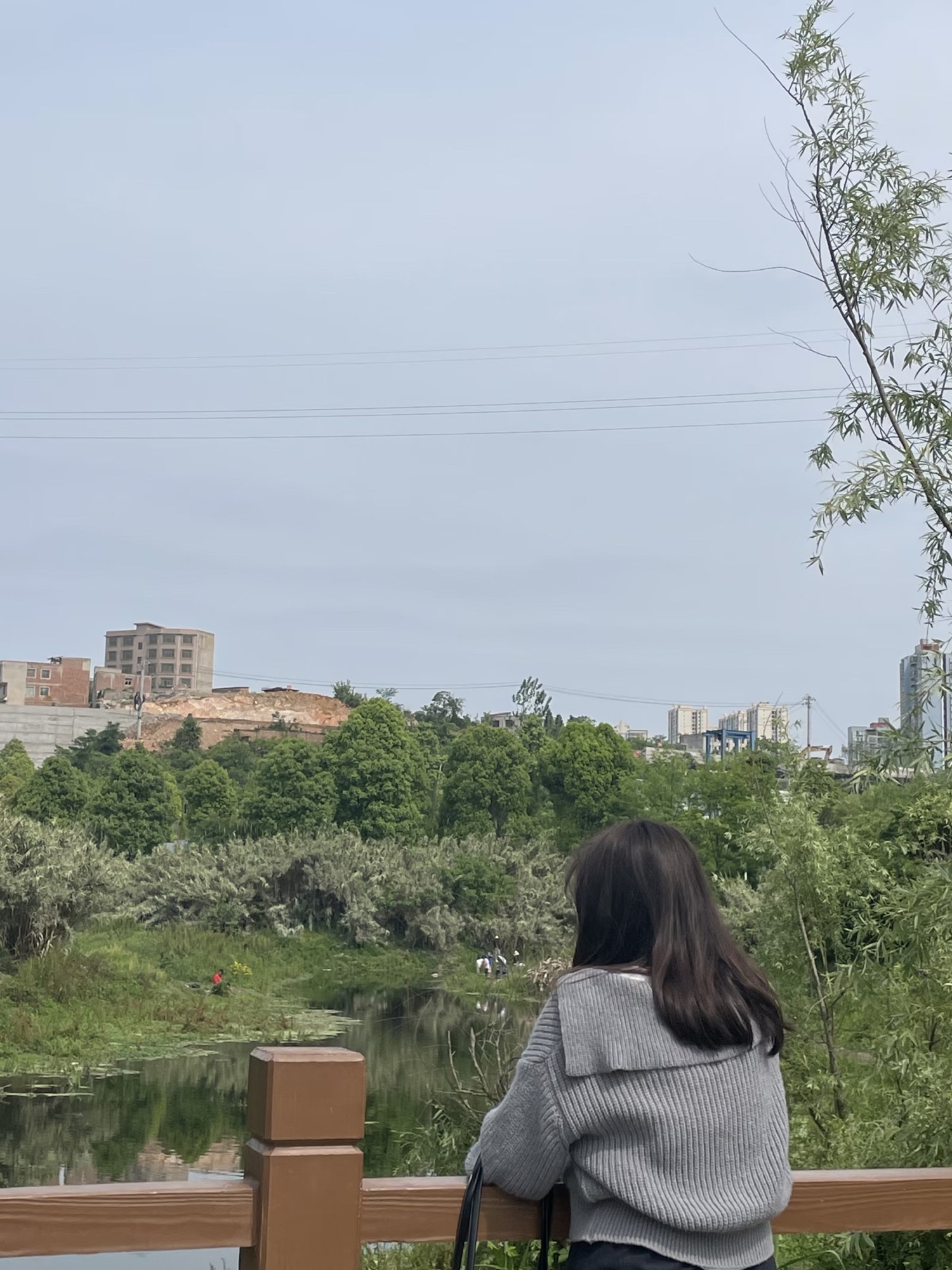 梯青塔湿地公园旅行图片 2