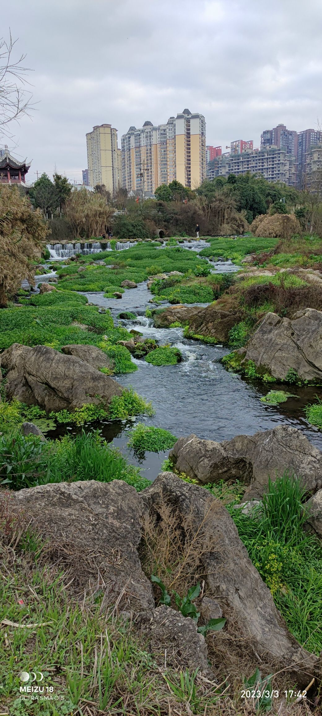 梯青塔湿地公园旅行图片 1