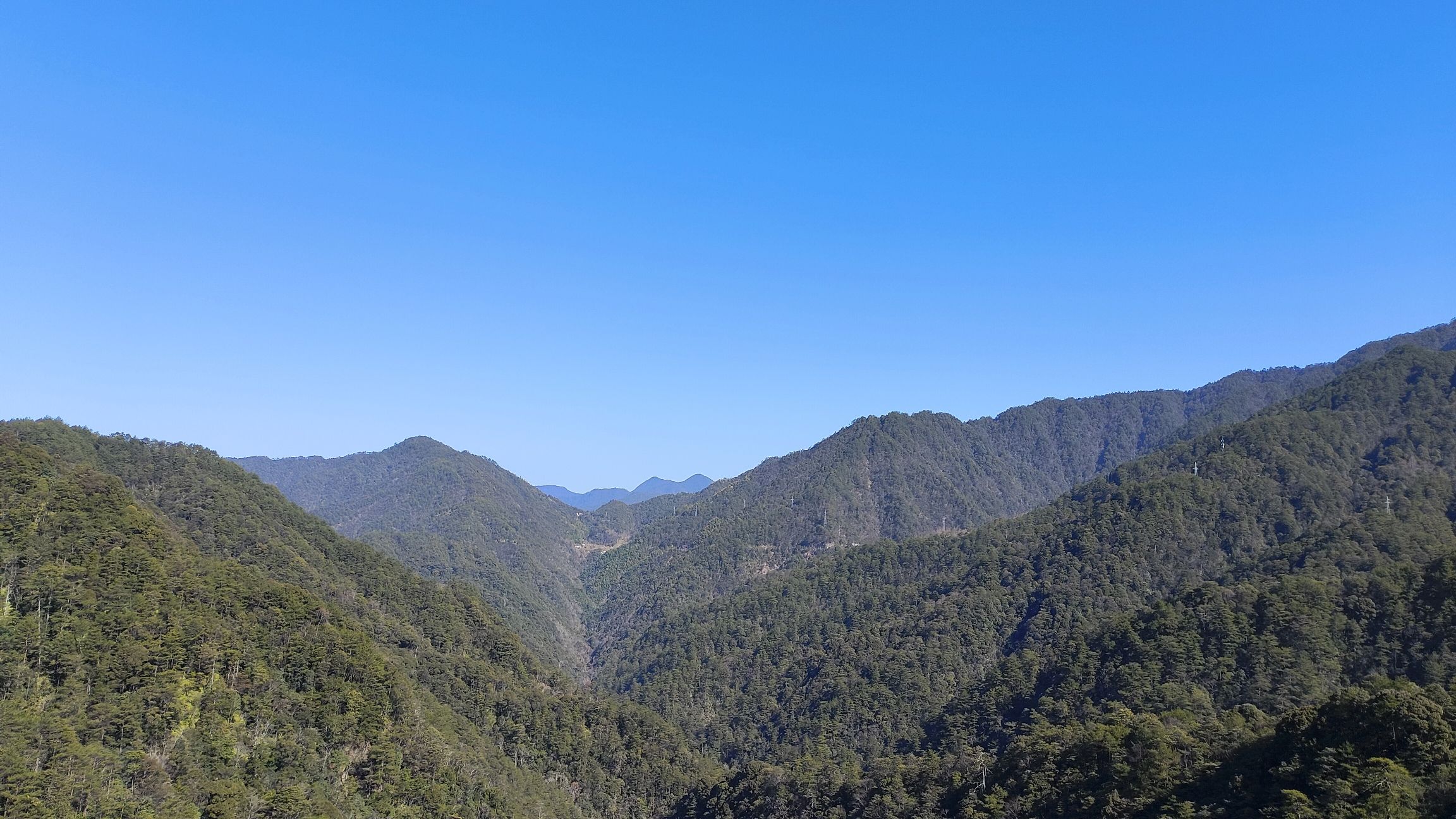 庆元县巾子峰国家森林公园旅行图片 1