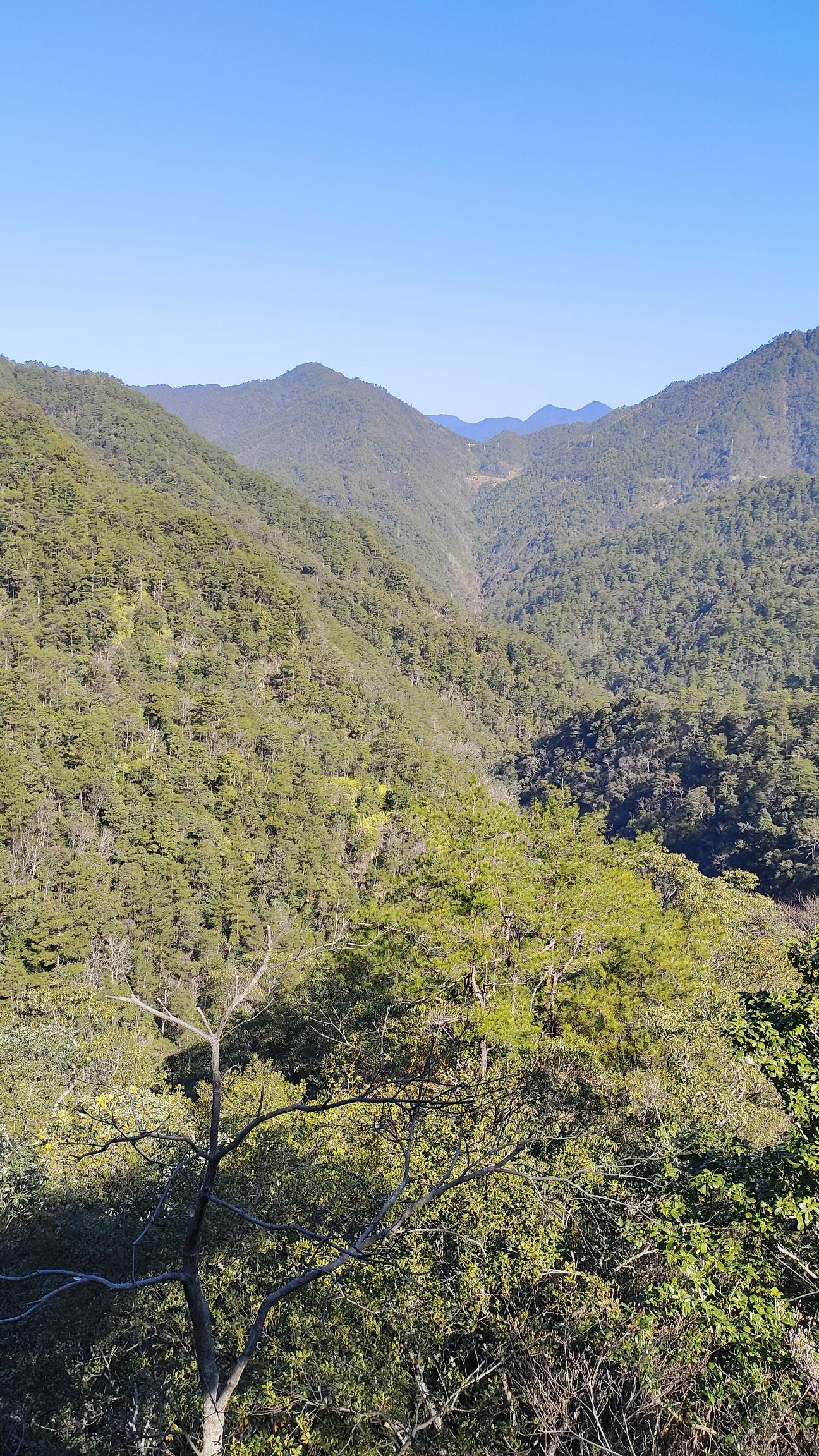 庆元县巾子峰国家森林公园旅行图片 3