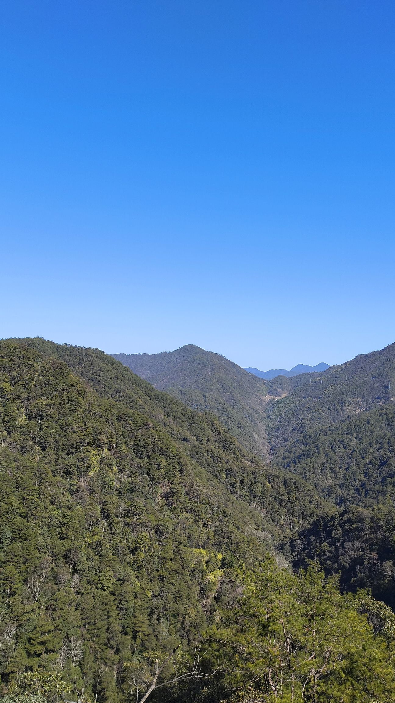 庆元县巾子峰国家森林公园旅行图片 2