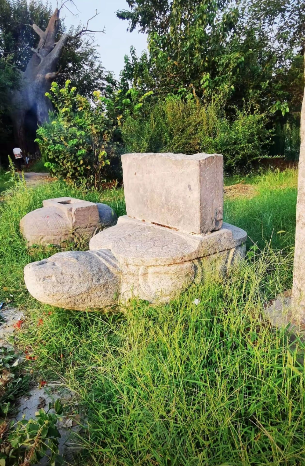 伊尹故里旅行图片 1