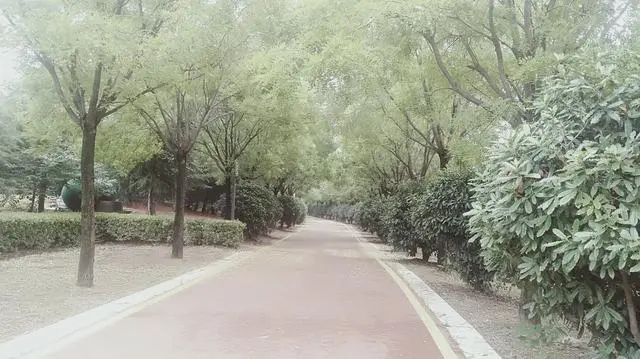 城北公园旅行图片 1