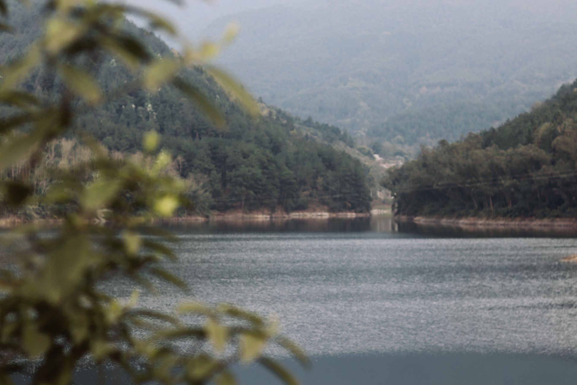 迎风湖国家湿地公园旅行图片 2