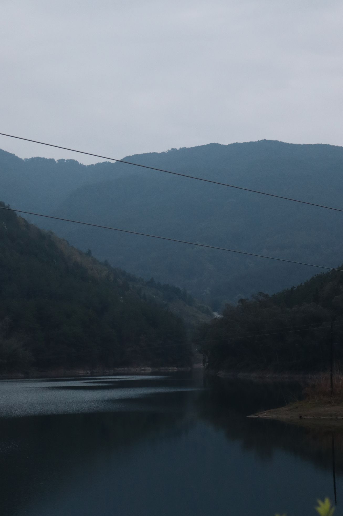迎风湖国家湿地公园旅行图片 3