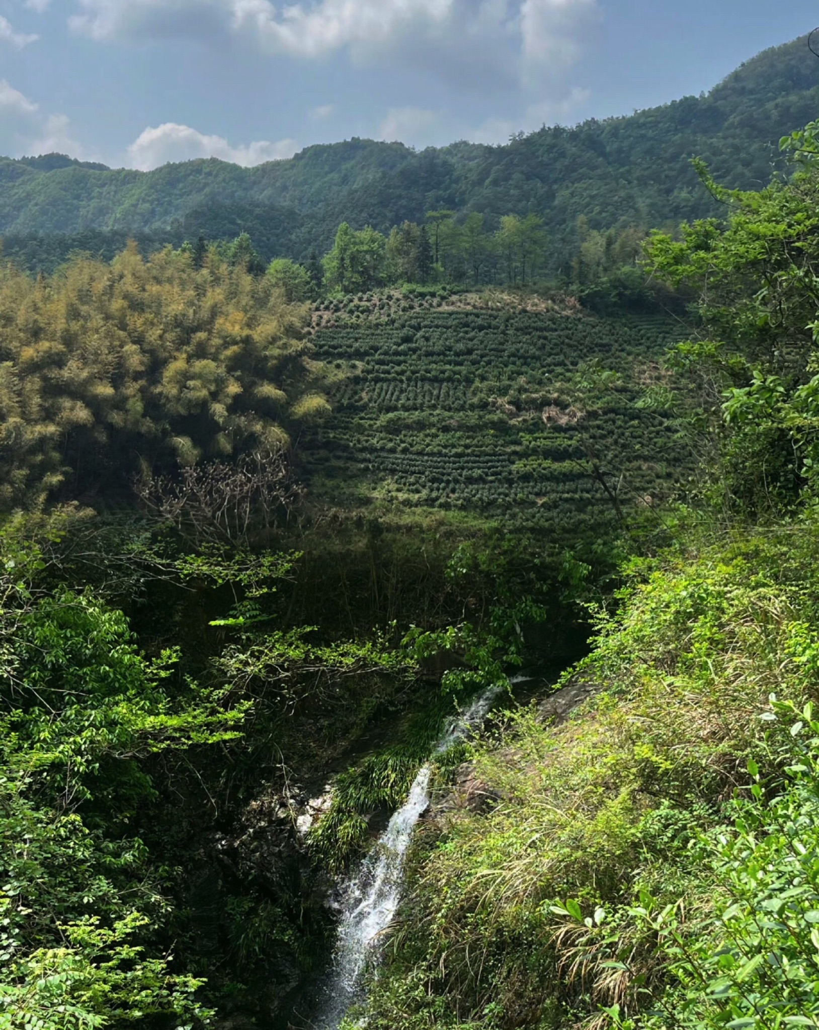 外婆坑旅行图片 1