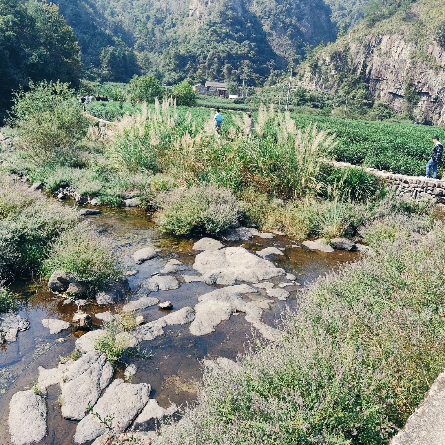 外婆坑旅行图片 1