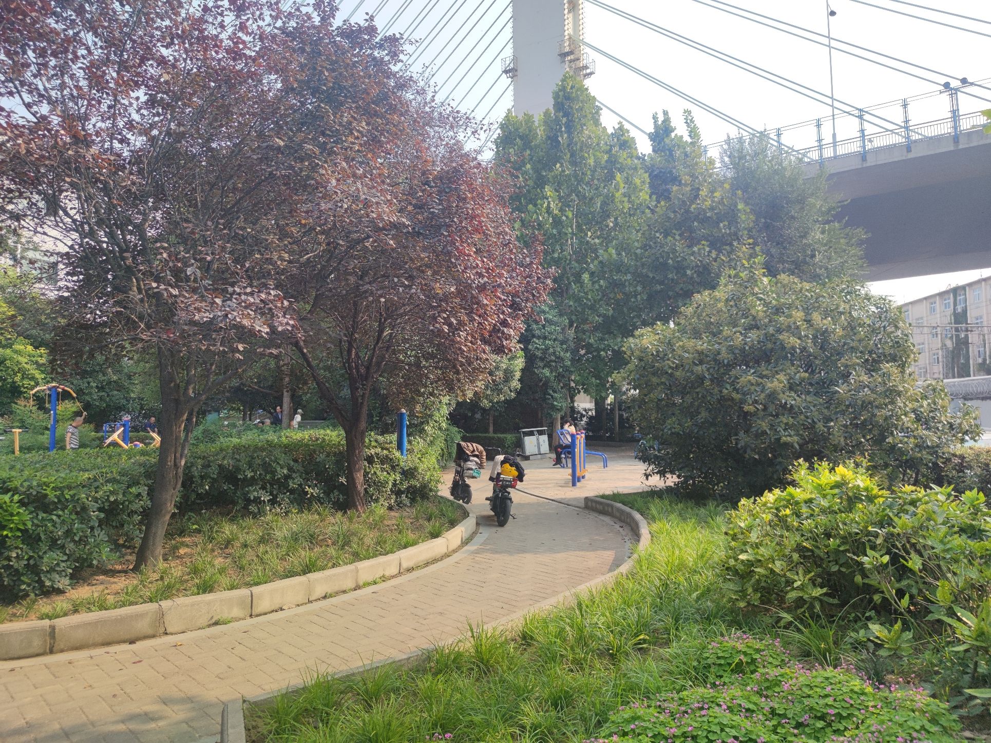 解放路游园旅行图片 2