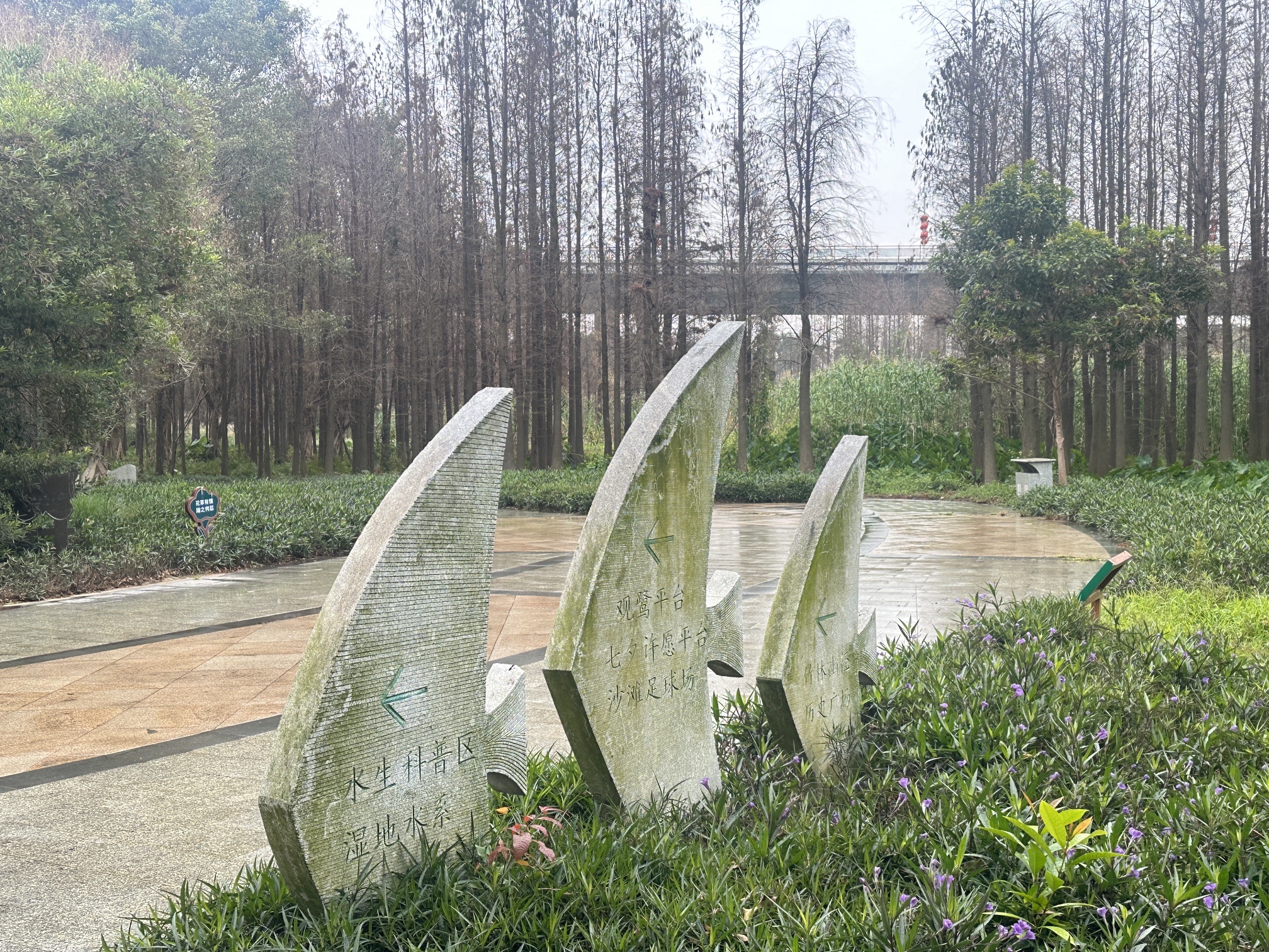 绿岛湖湿地公园旅行图片 2