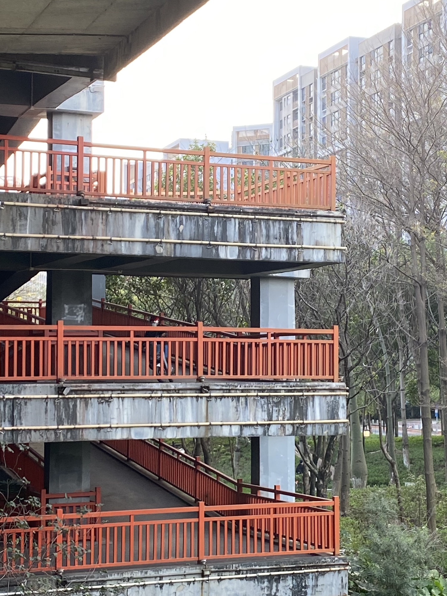 绿岛湖湿地公园旅行图片 3