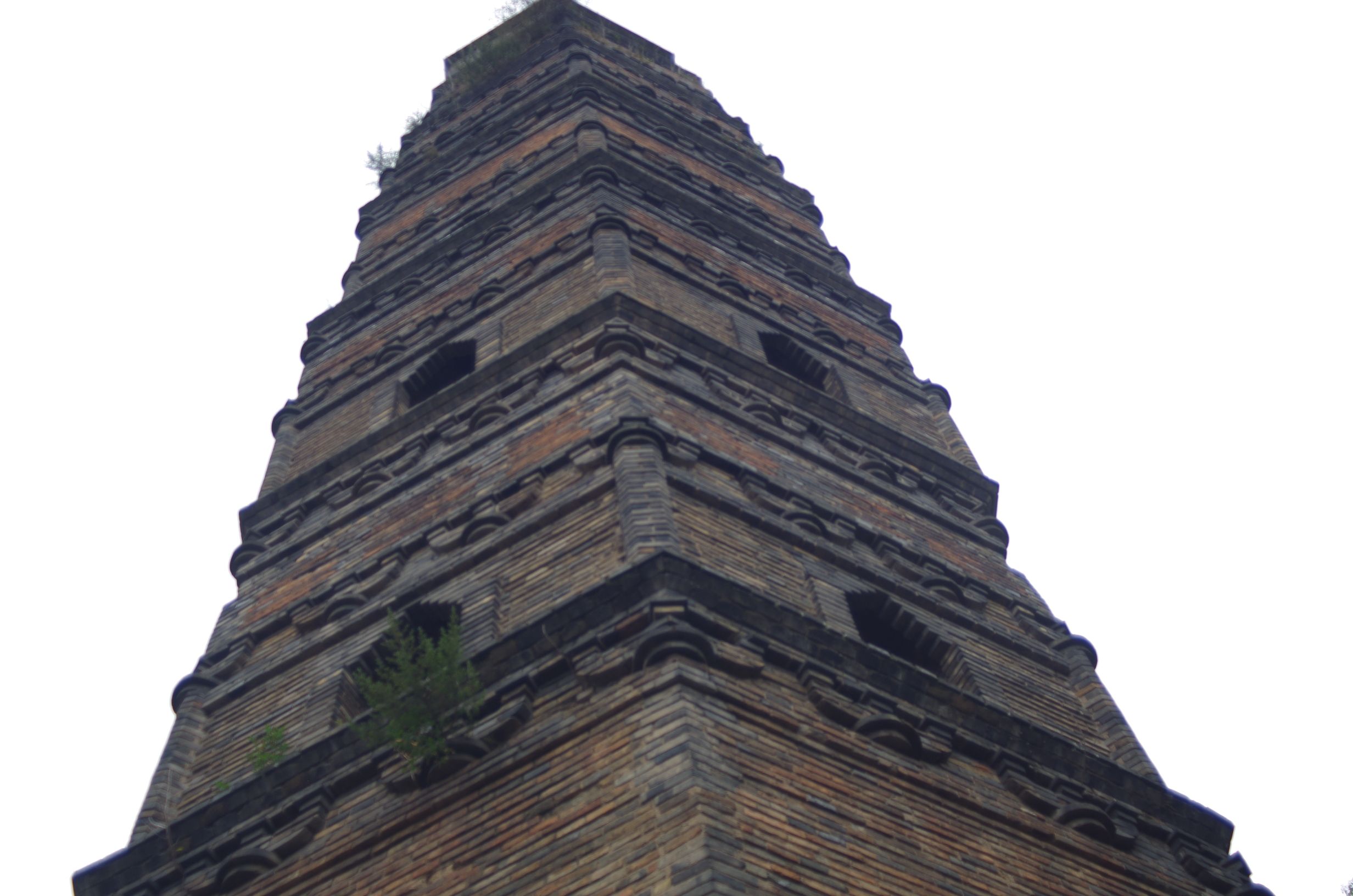 塔山公园旅行图片 2