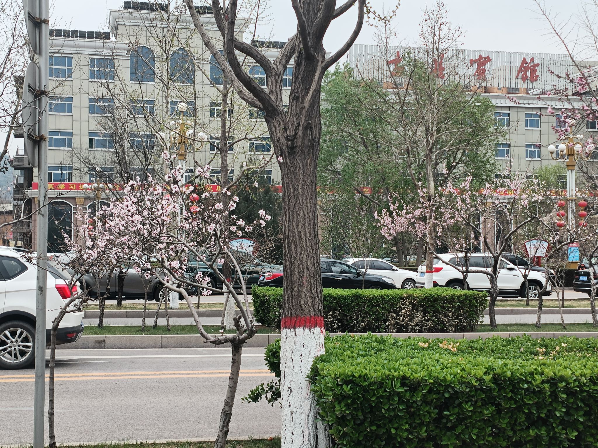 古县广场旅行图片 2