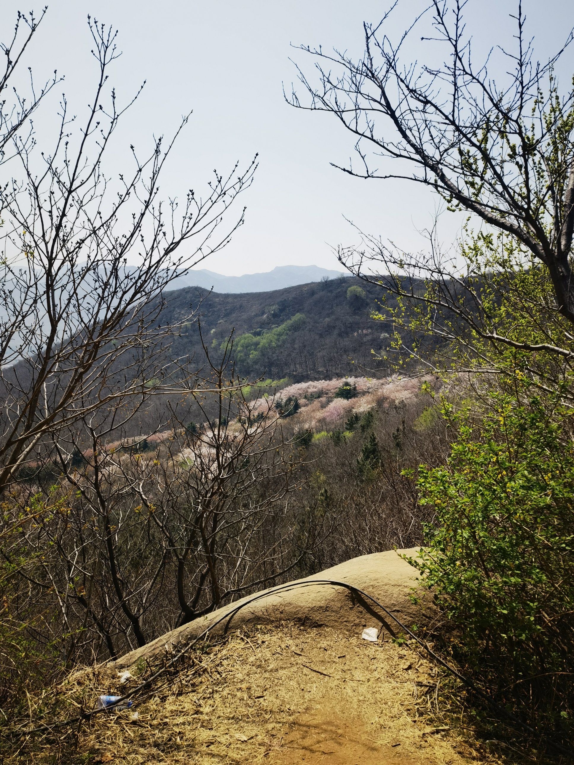 樱花山风景区旅行图片 1