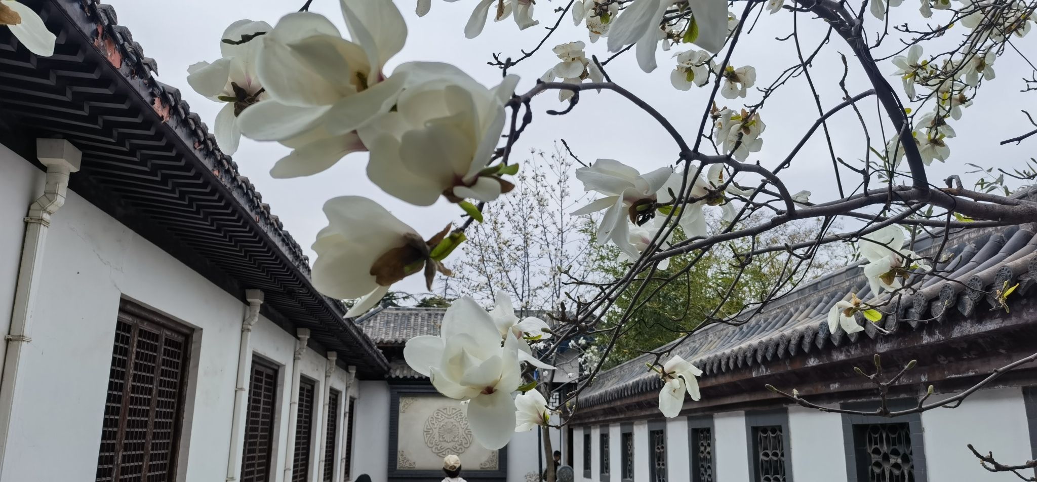 樱花山风景区旅行图片 2
