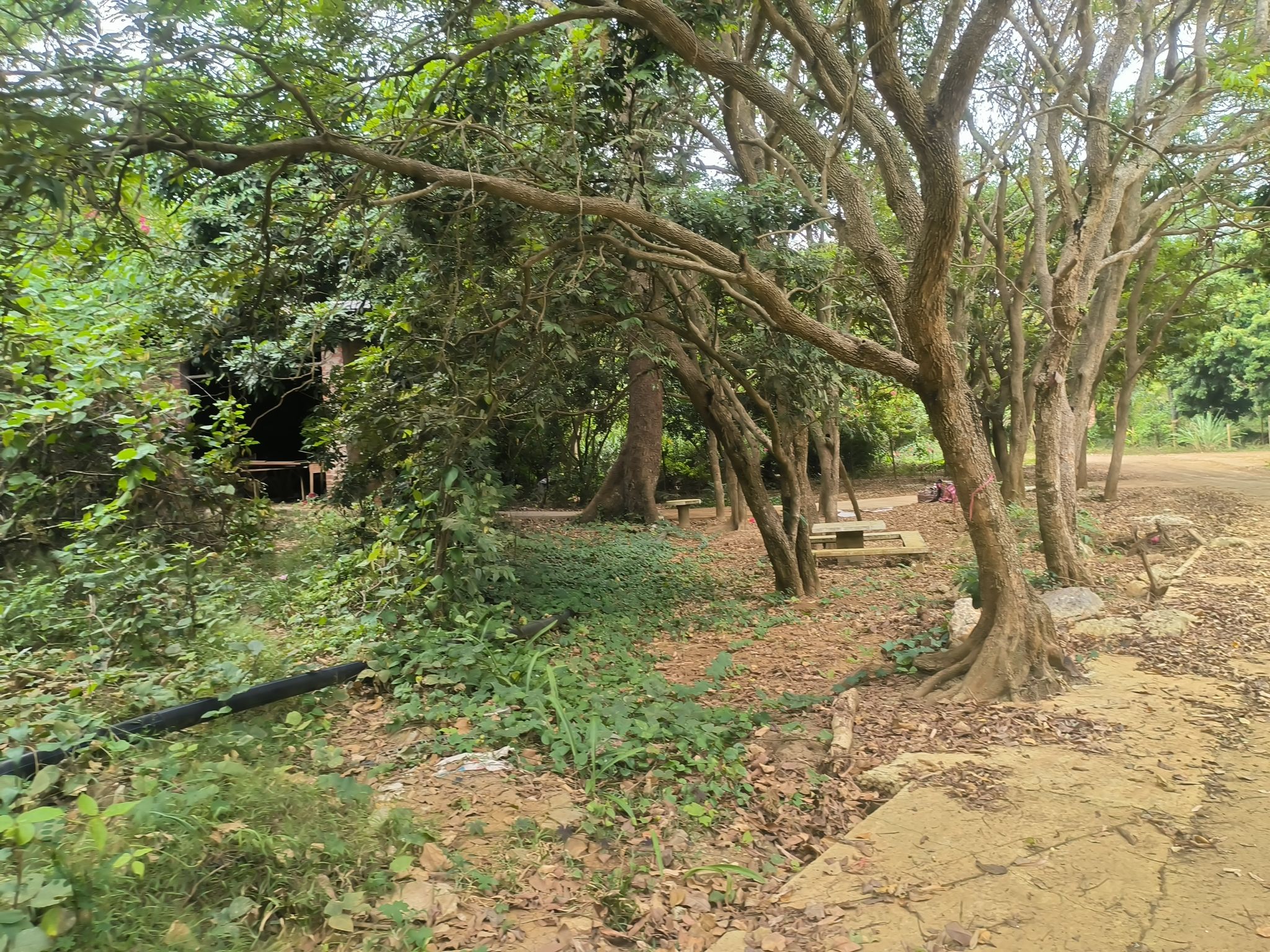 蝴蝶谷旅行图片 2