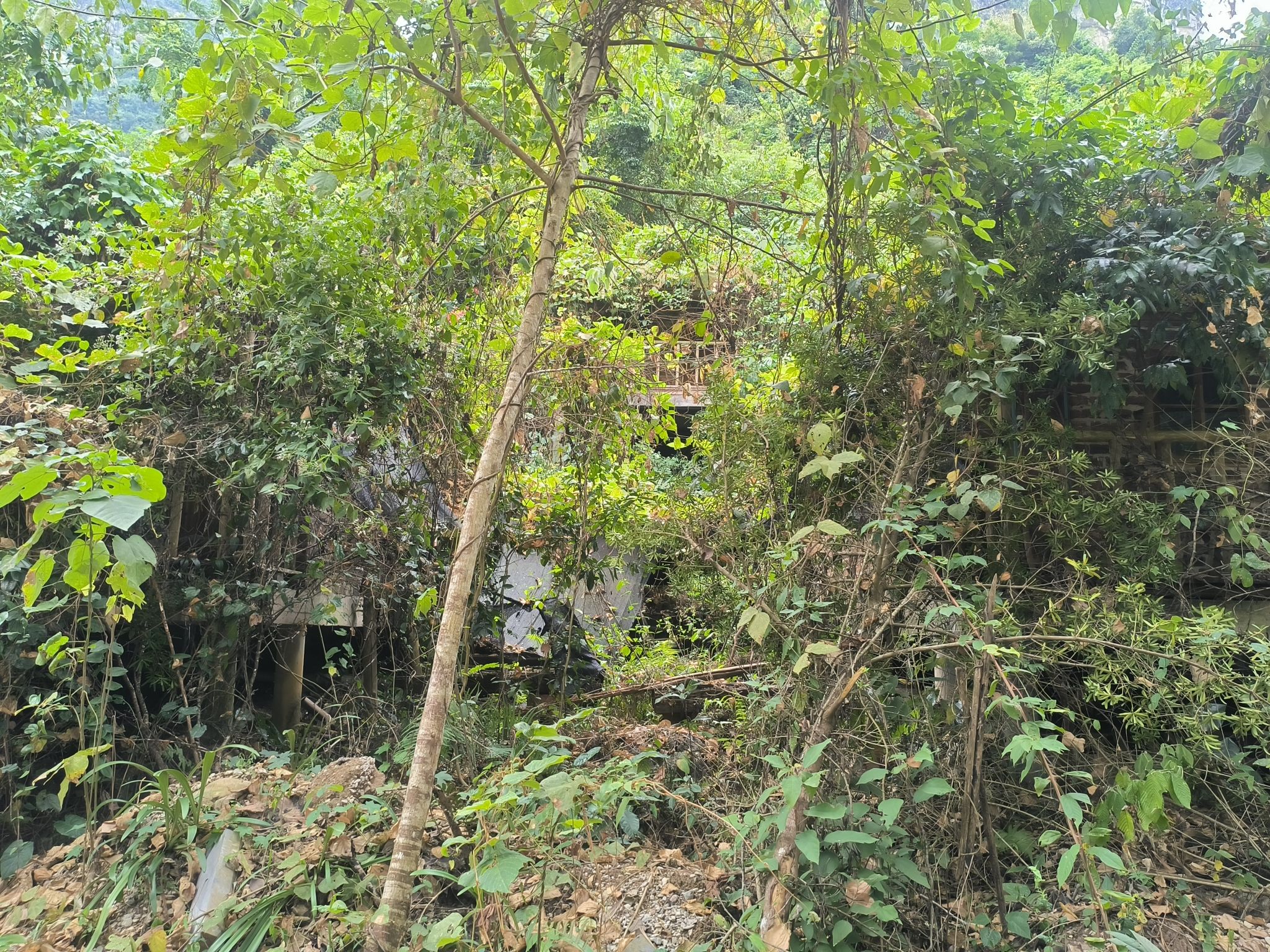 蝴蝶谷旅行图片 1