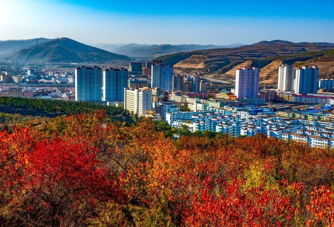 东山森林公园