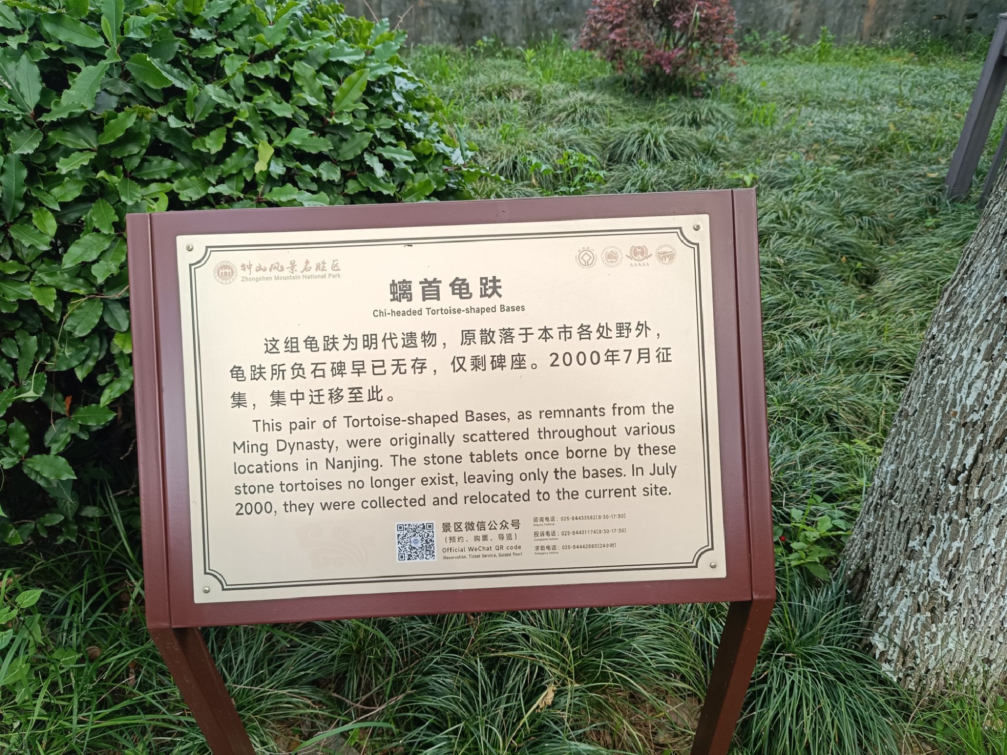 白马公园-螭首龟趺