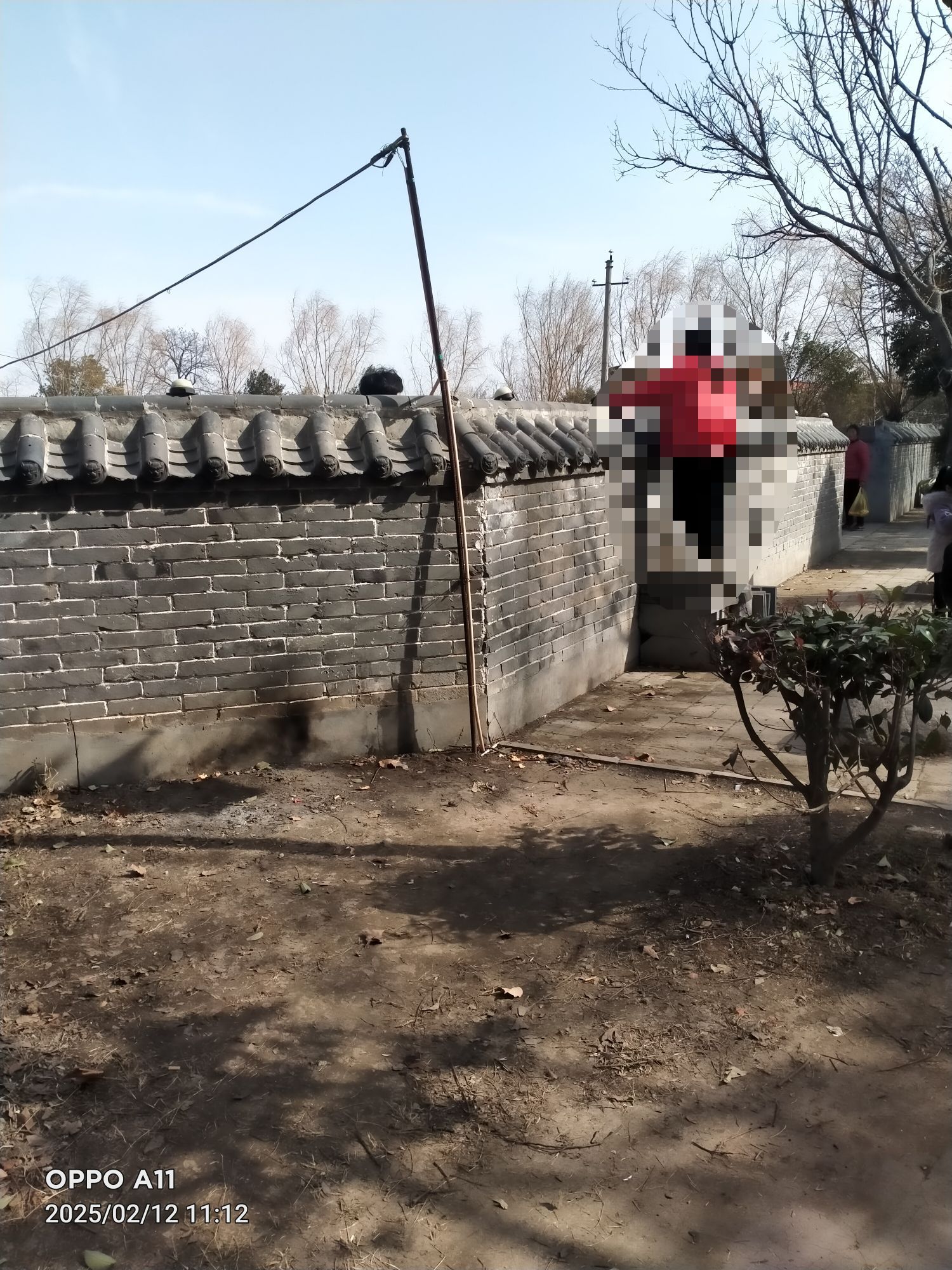 百宁岗旅行图片 1
