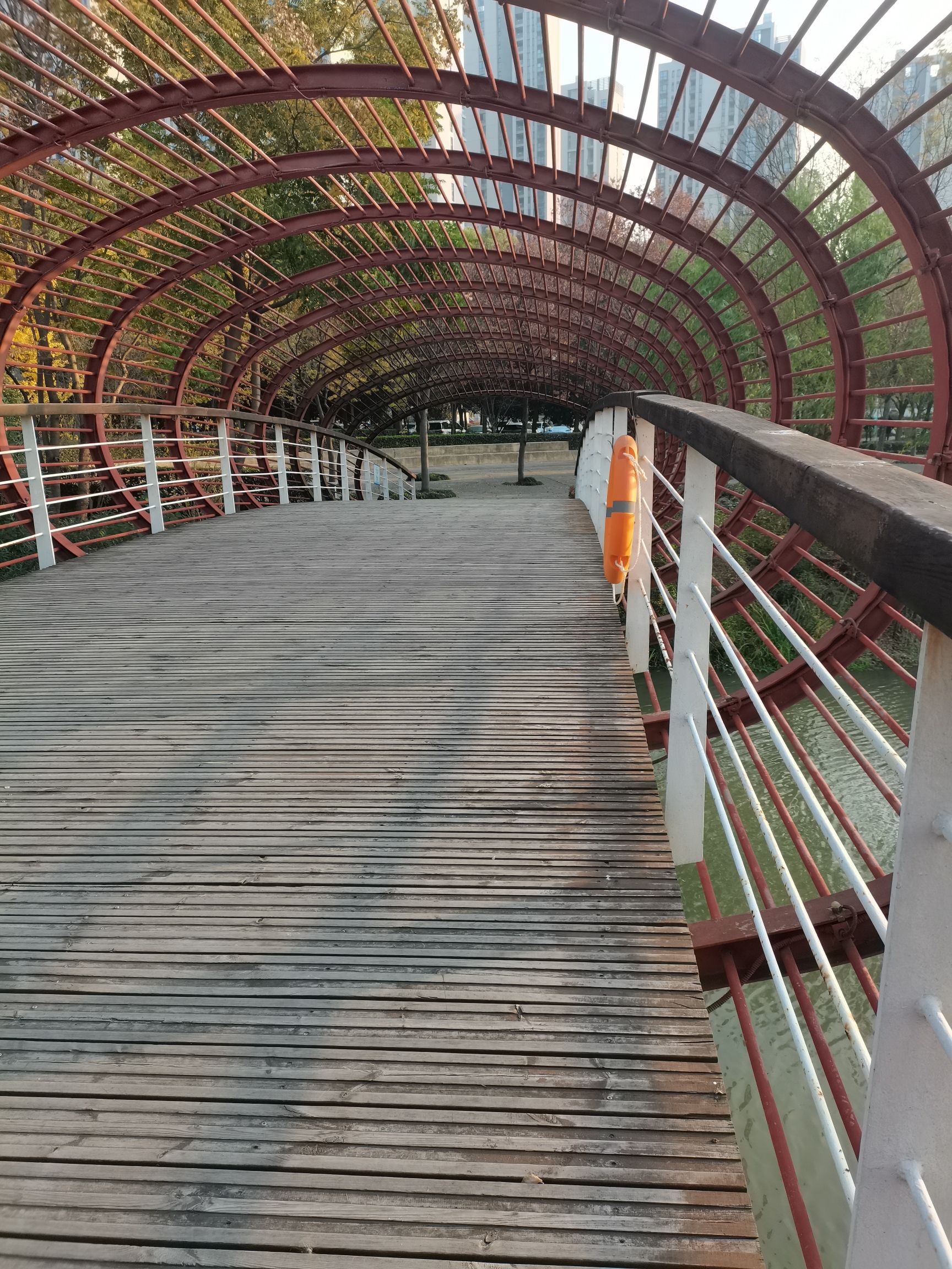 南翔镇银翔湖公园旅行图片 3