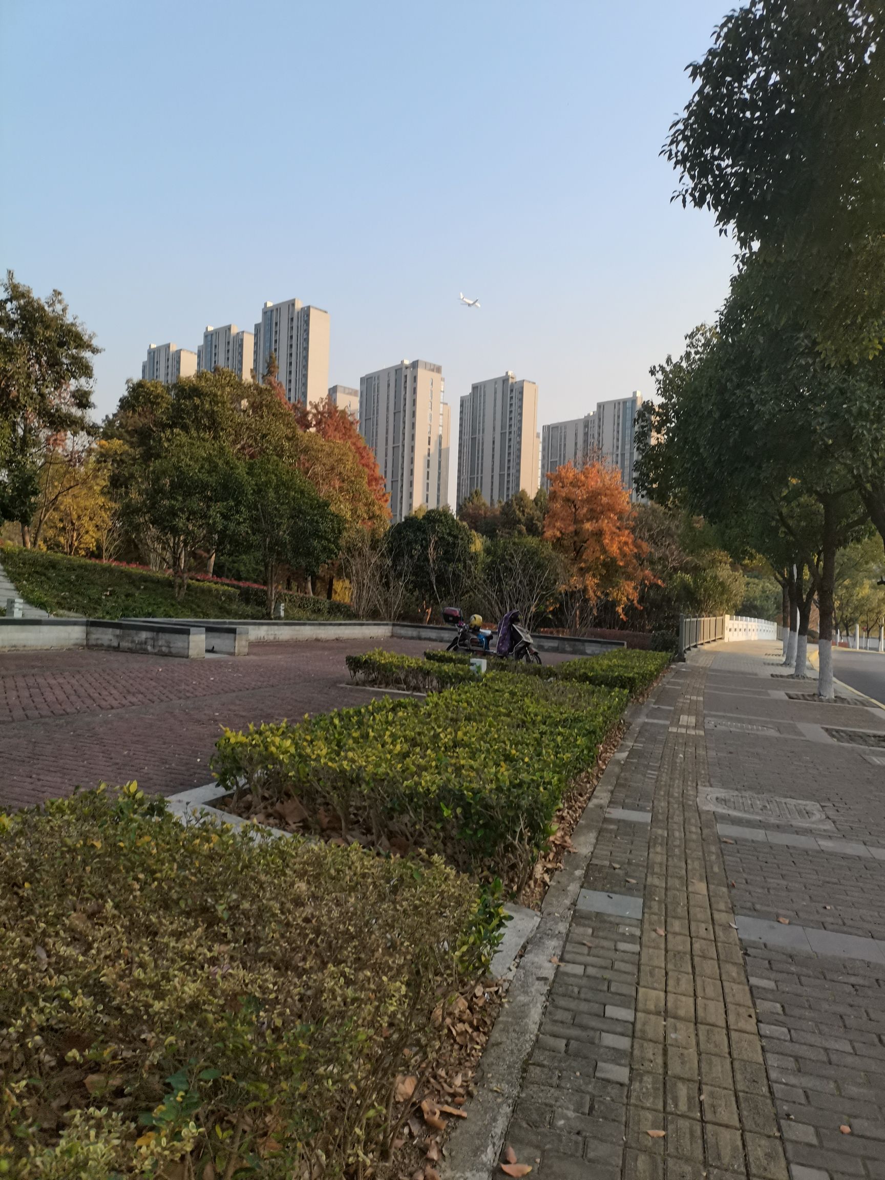 南翔镇银翔湖公园旅行图片 1