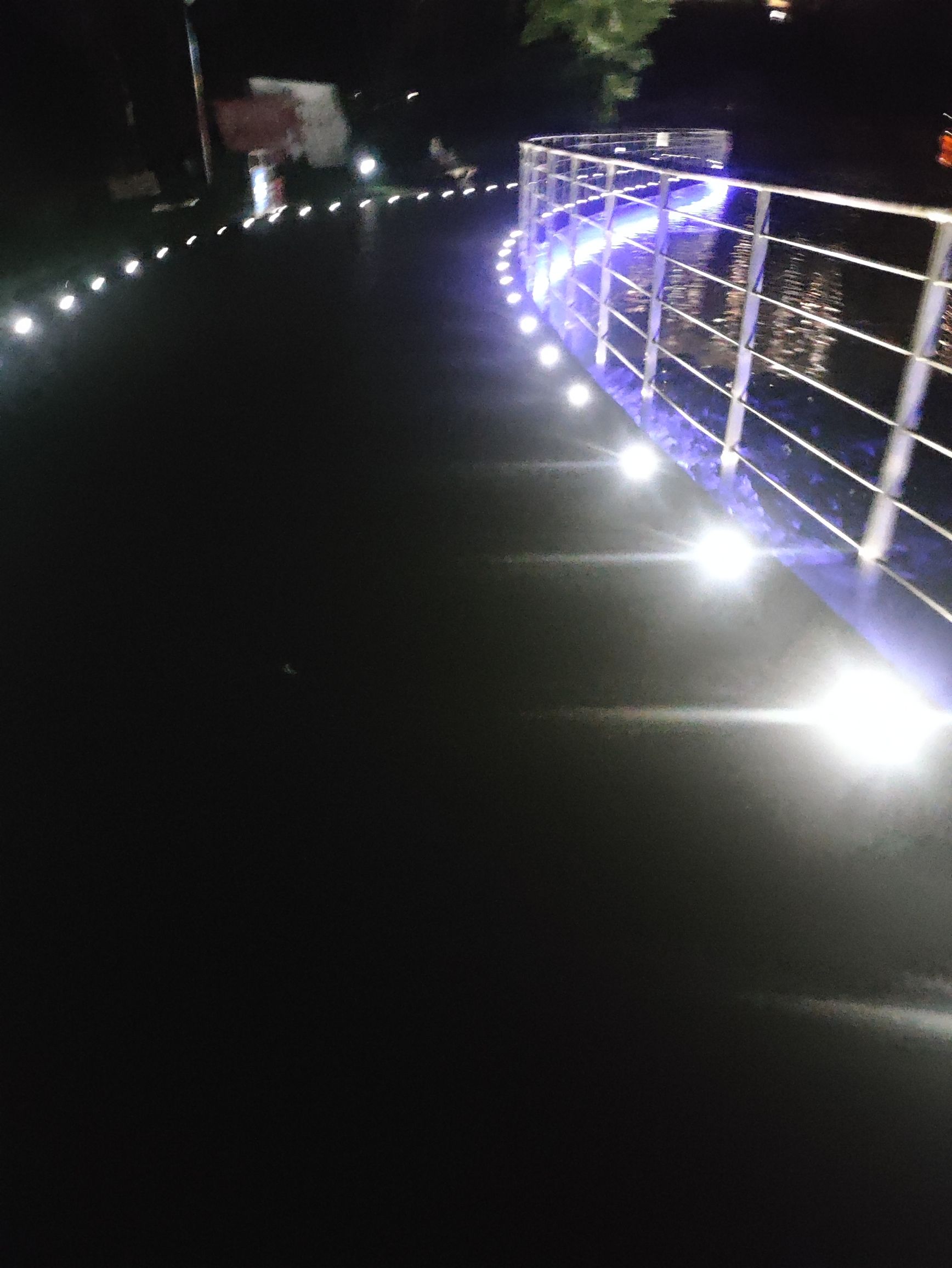 南翔镇银翔湖公园旅行图片 1