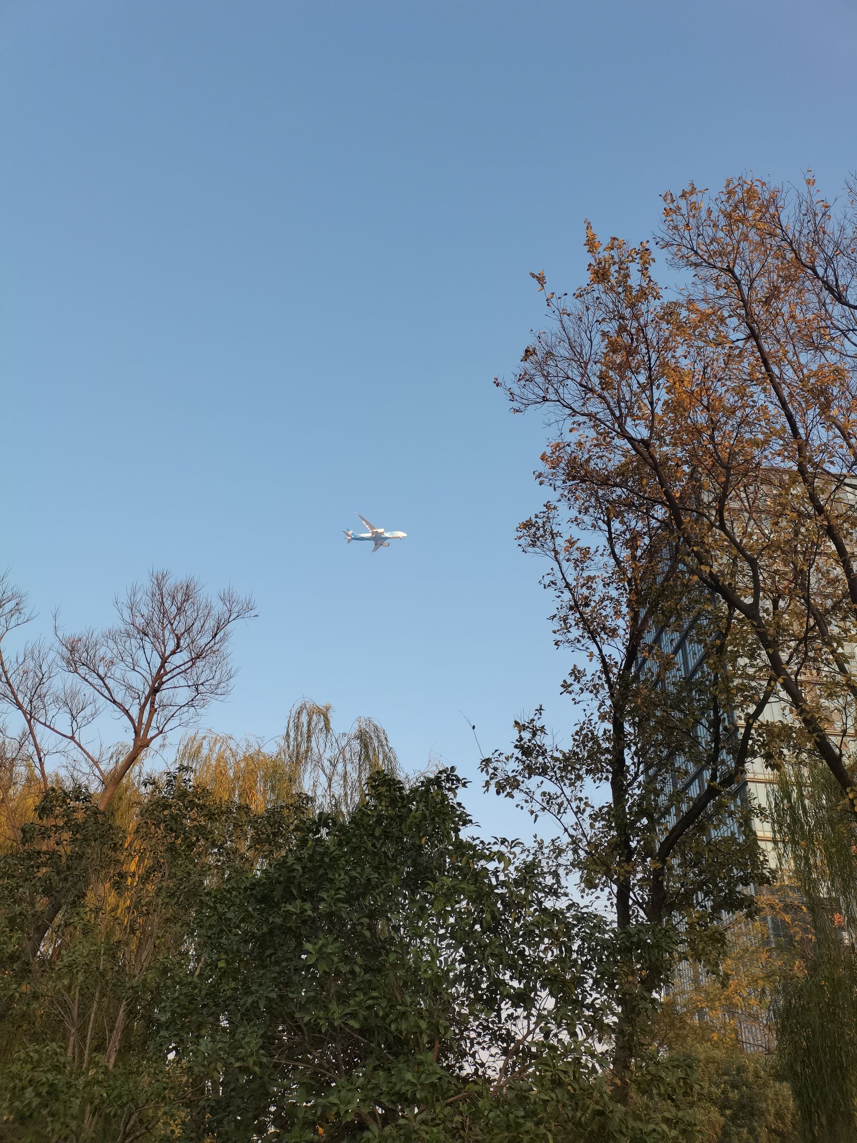 南翔镇银翔湖公园旅行图片 2