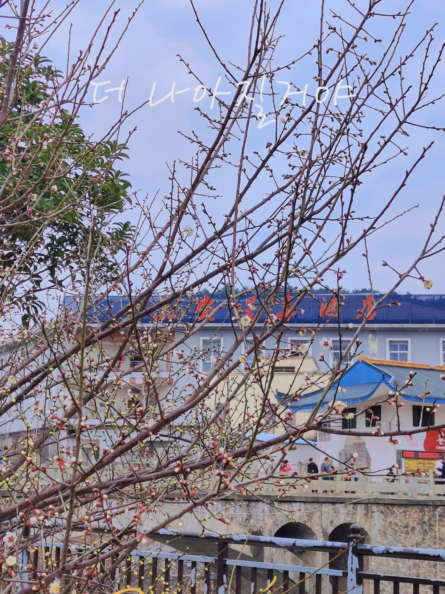 东安紫水国家湿地公园旅行图片 3