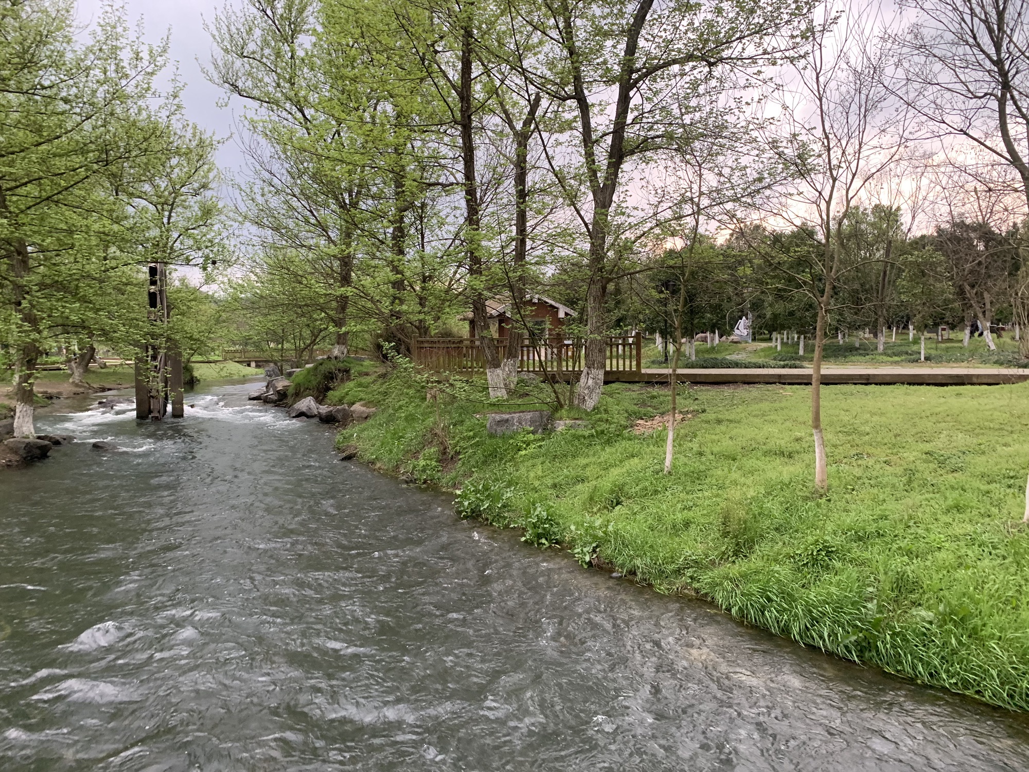 东安紫水国家湿地公园旅行图片 2