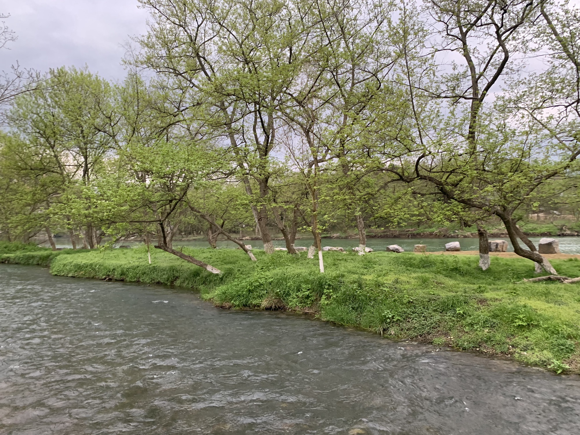 东安紫水国家湿地公园旅行图片 1