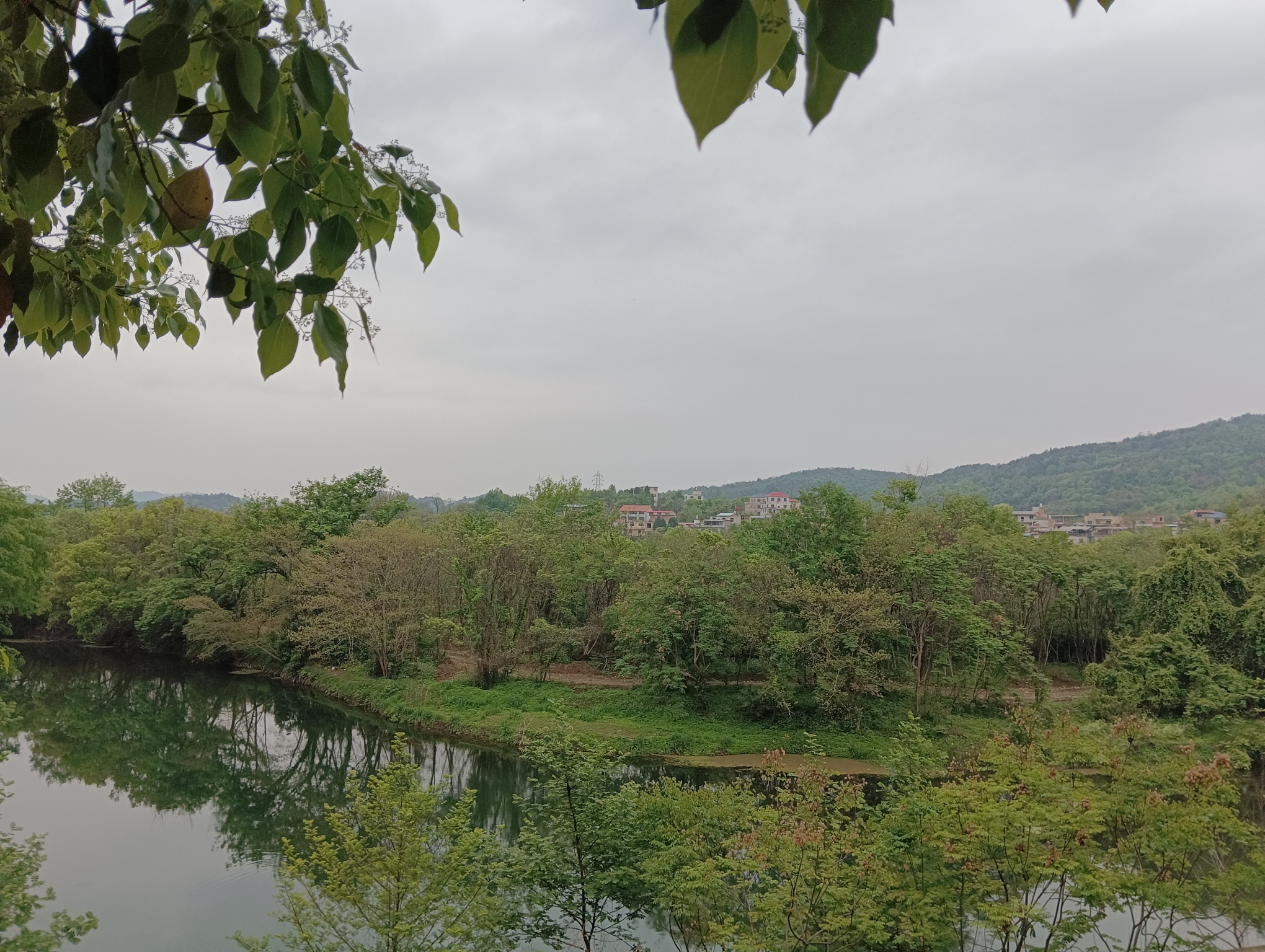东安紫水国家湿地公园旅行图片 3