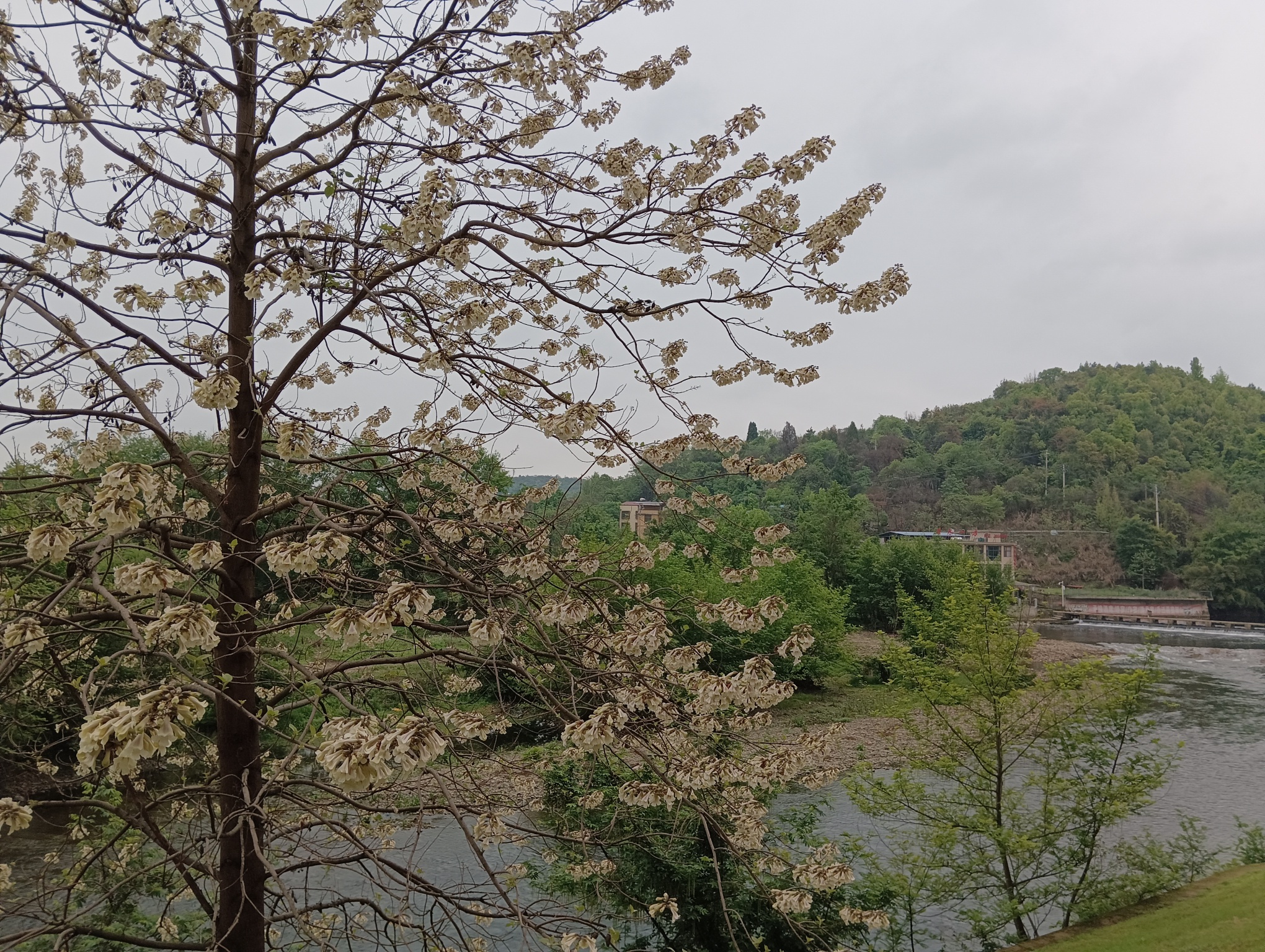 东安紫水国家湿地公园旅行图片 2