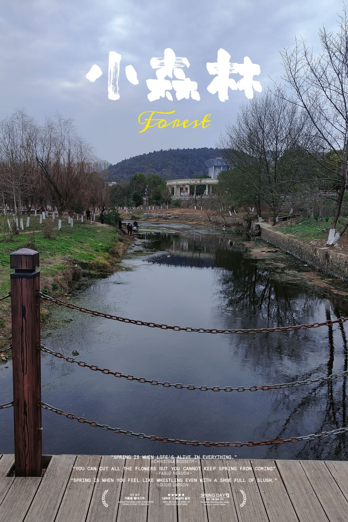 东安紫水国家湿地公园旅行图片 1