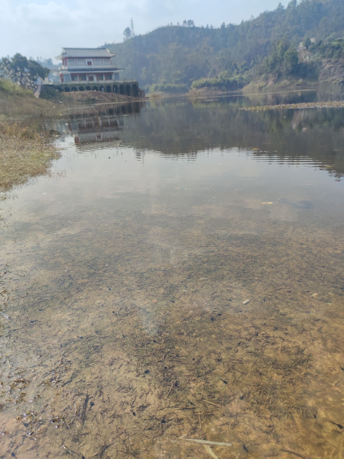 少峨湖旅行图片 3