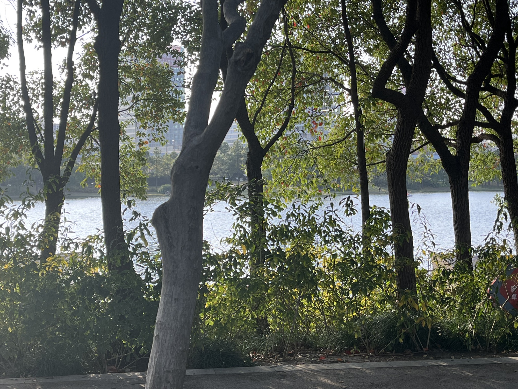 美兰湖景区旅行图片 3