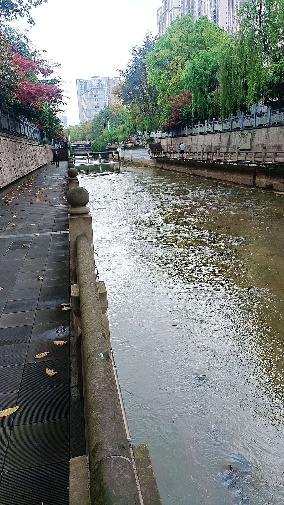 半溪河滨水公园旅行图片 3