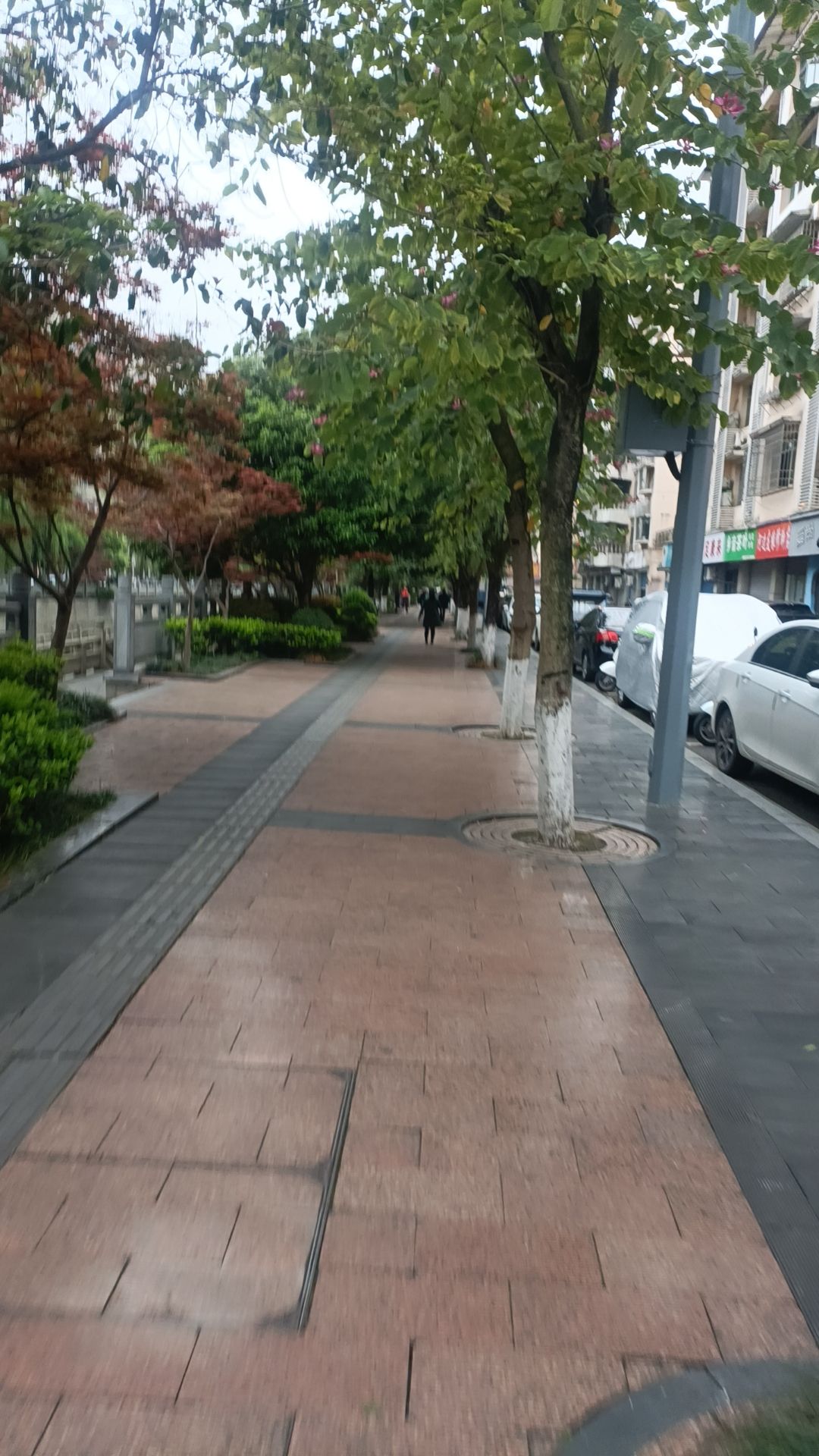 半溪河滨水公园旅行图片 2