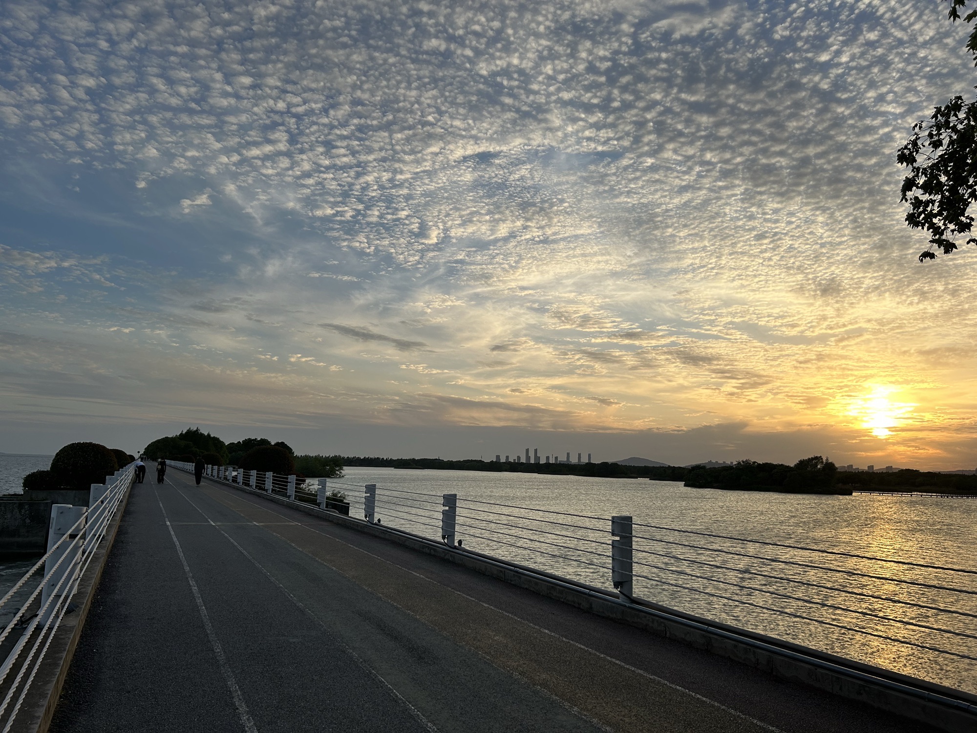 贡湖湾湿地公园旅行图片 3