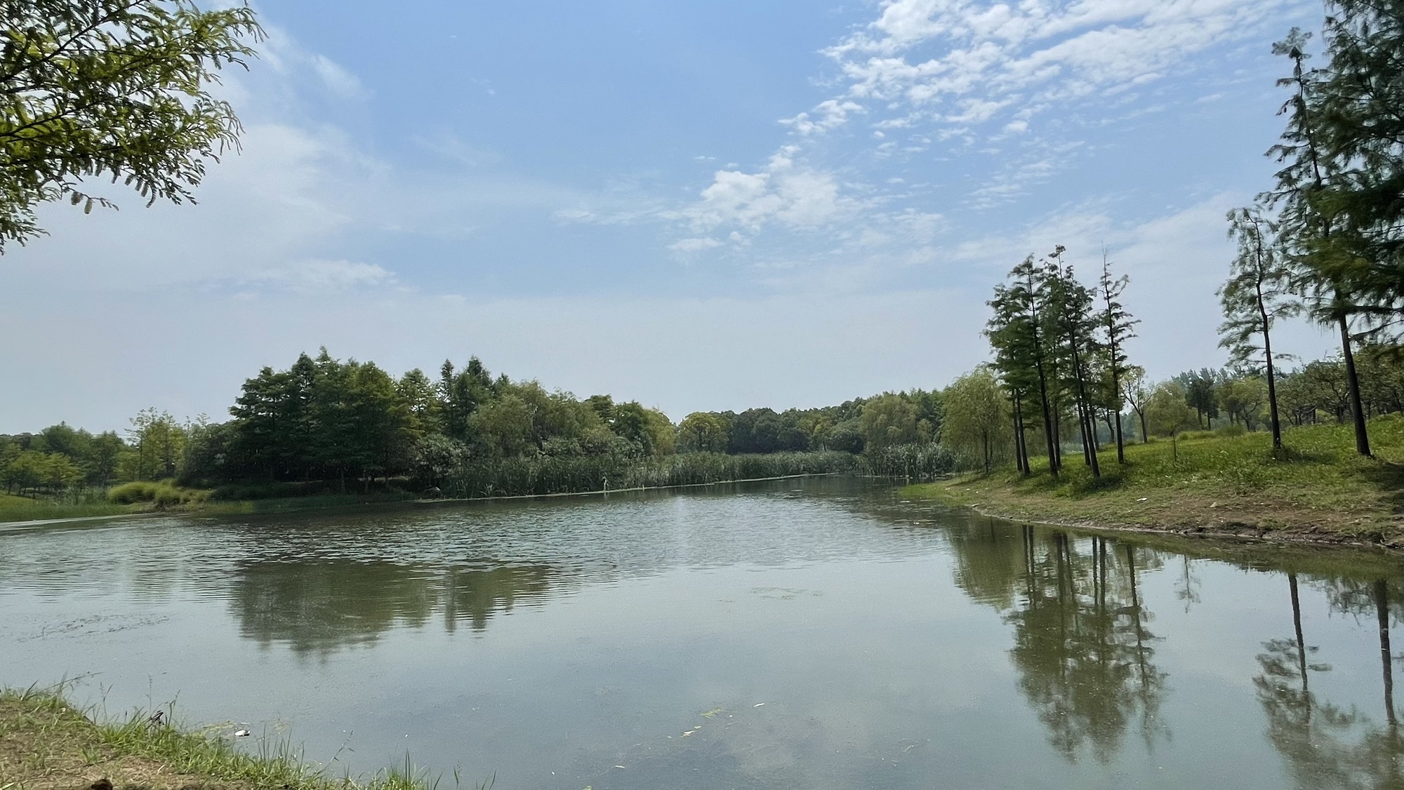 贡湖湾湿地公园旅行图片 1