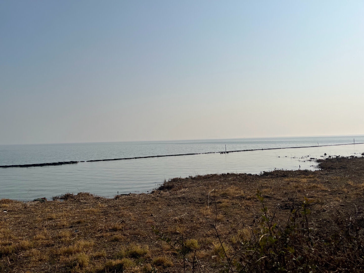 贡湖湾湿地公园旅行图片 3