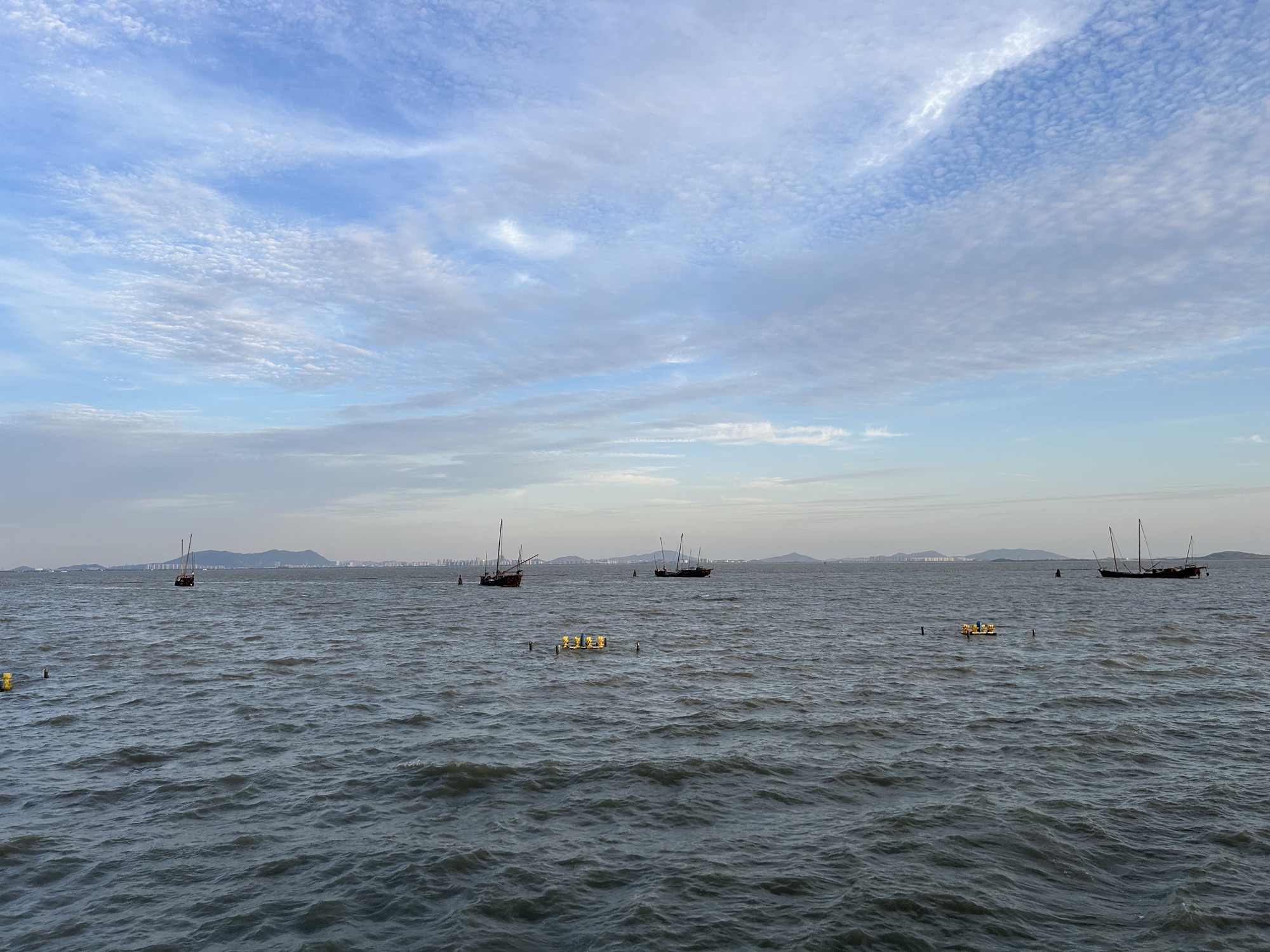 贡湖湾湿地公园旅行图片 2